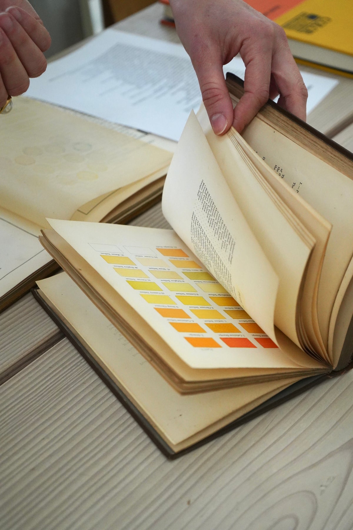 The Colour Club at Blēo: A One-Day Bookshop
