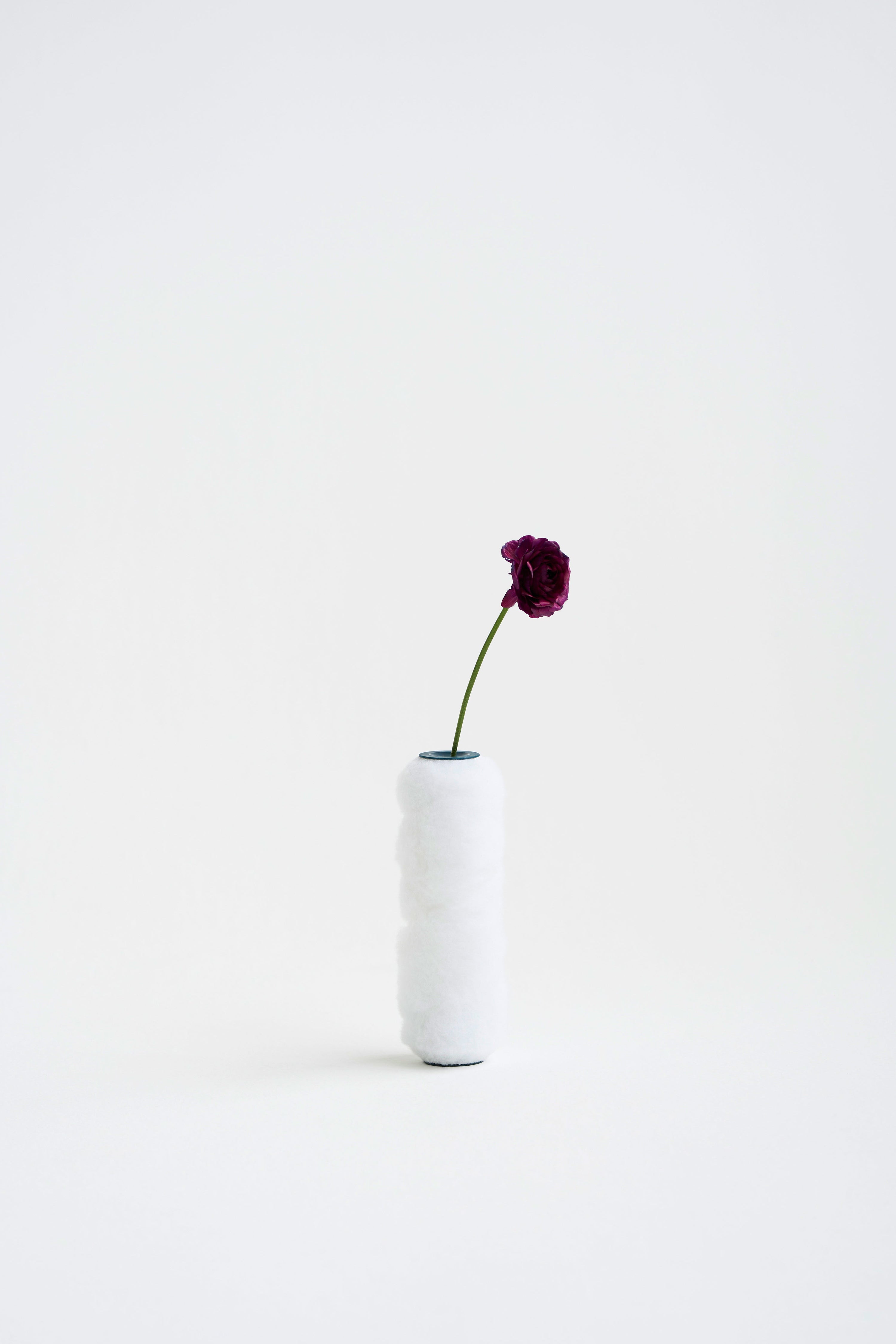 Launching Blēo: Beyond the boundaries of paint
