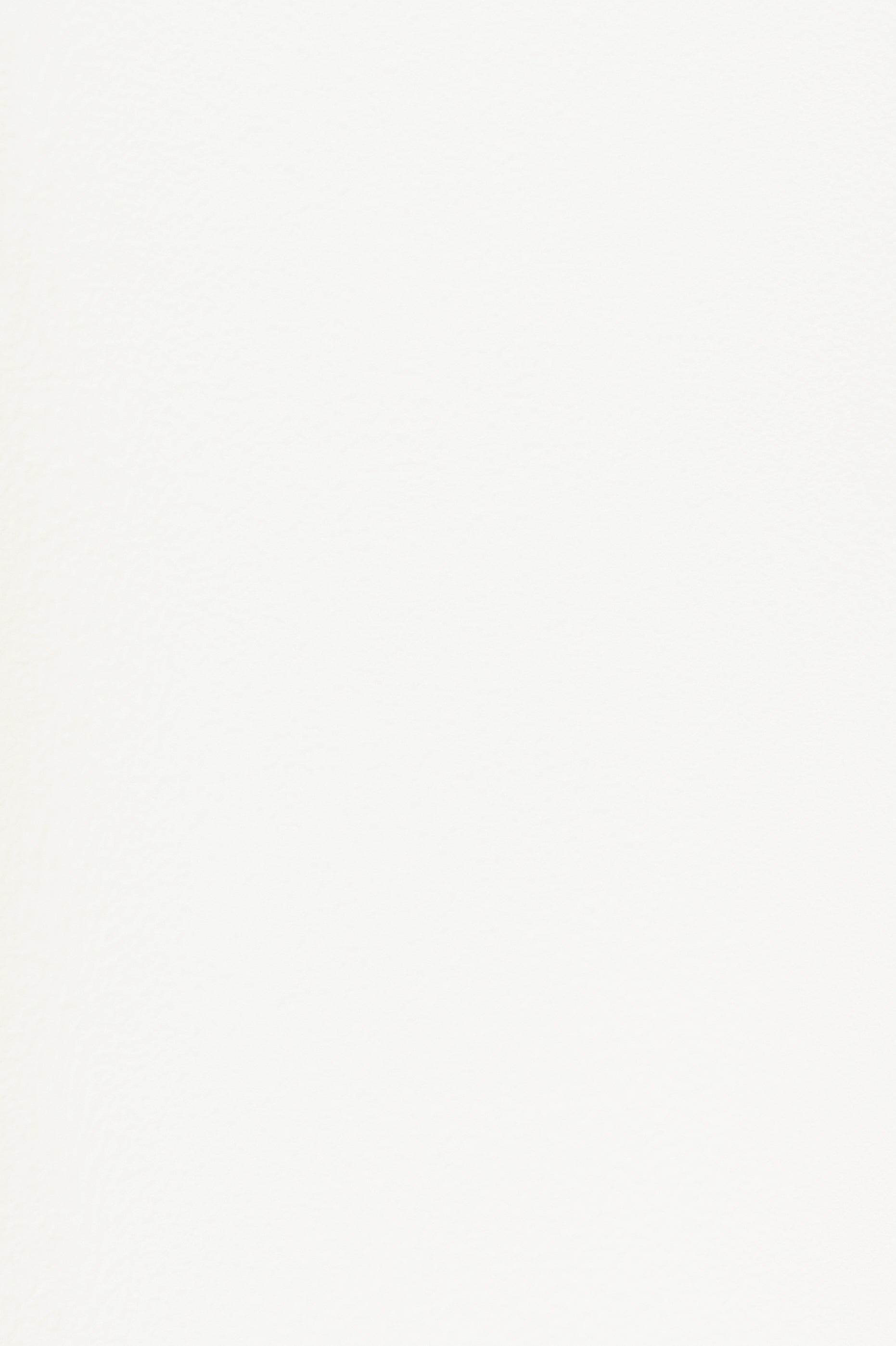 Essential 01 Gallery White by Blēo