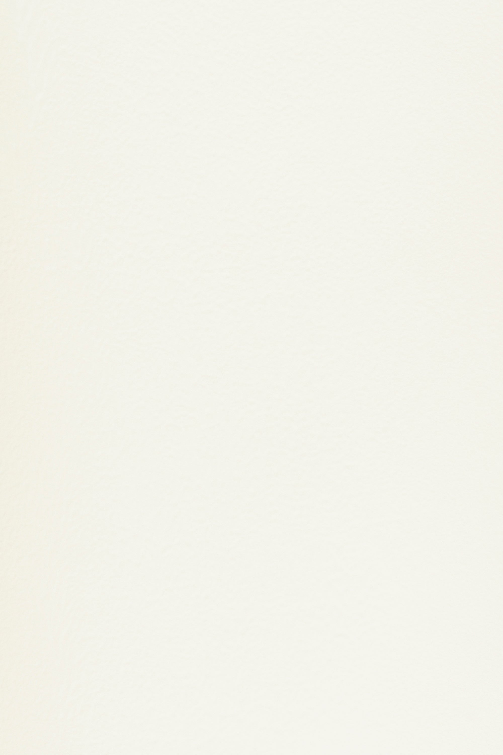 Essential 01 Gallery White by Blēo