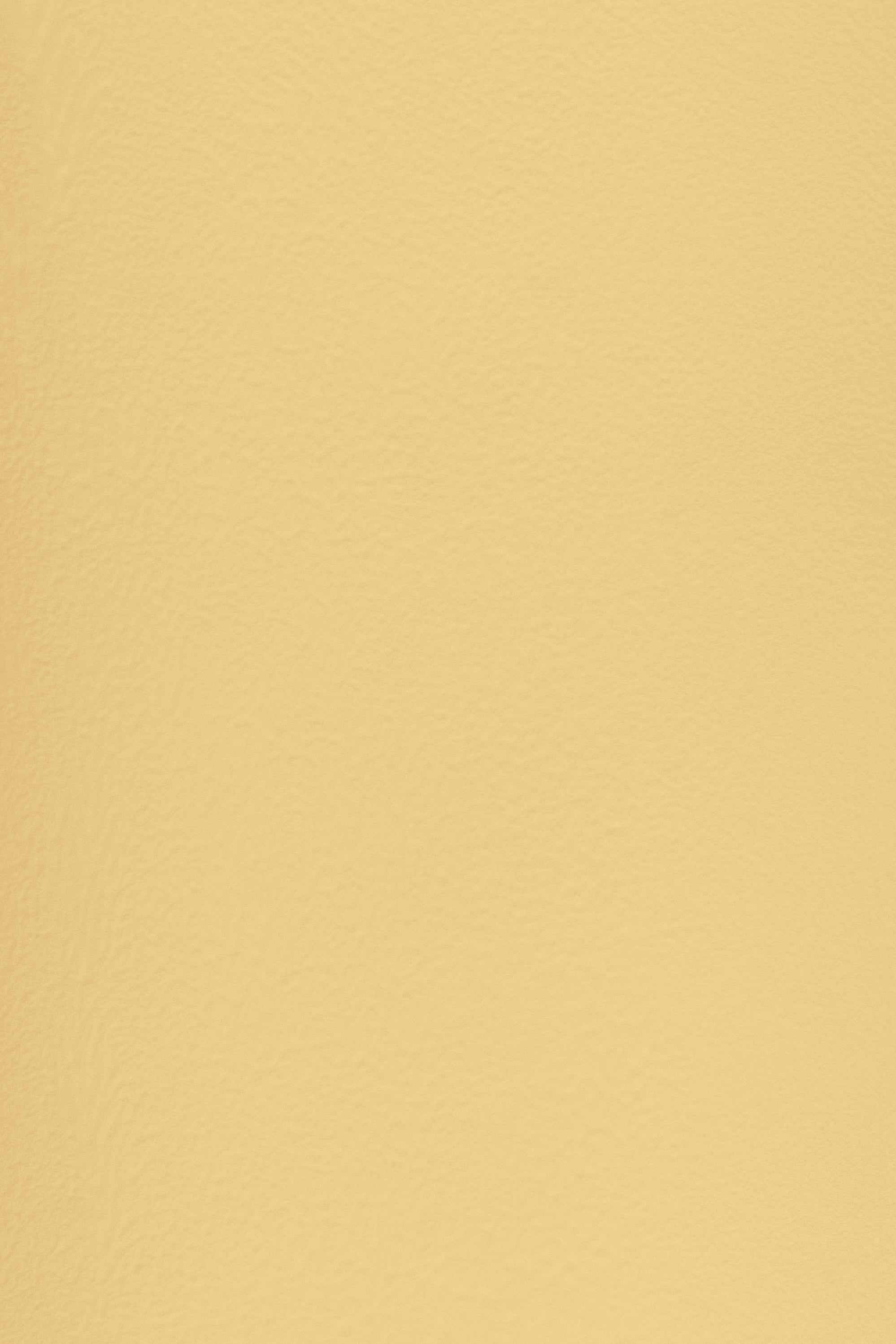 Essential 12 Cream Yellow by Blēo