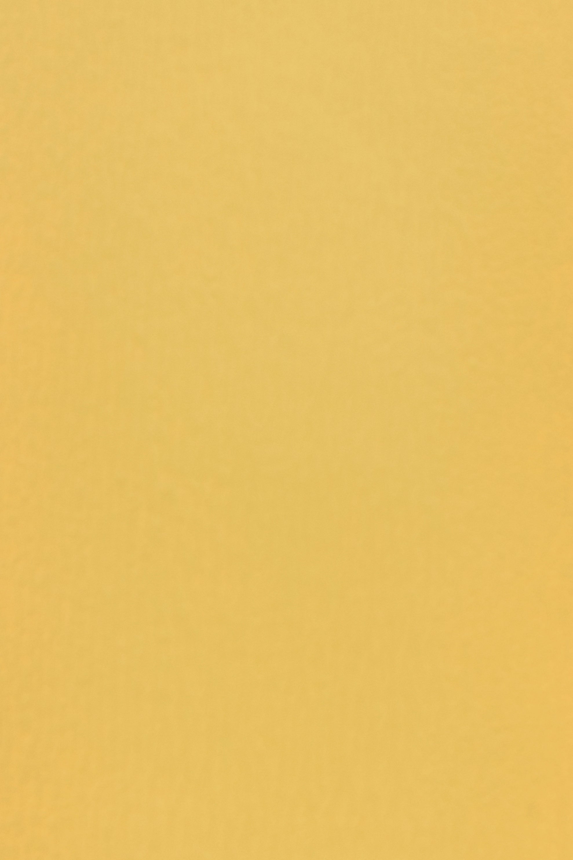 Essential 13 Golden Straw by Blēo