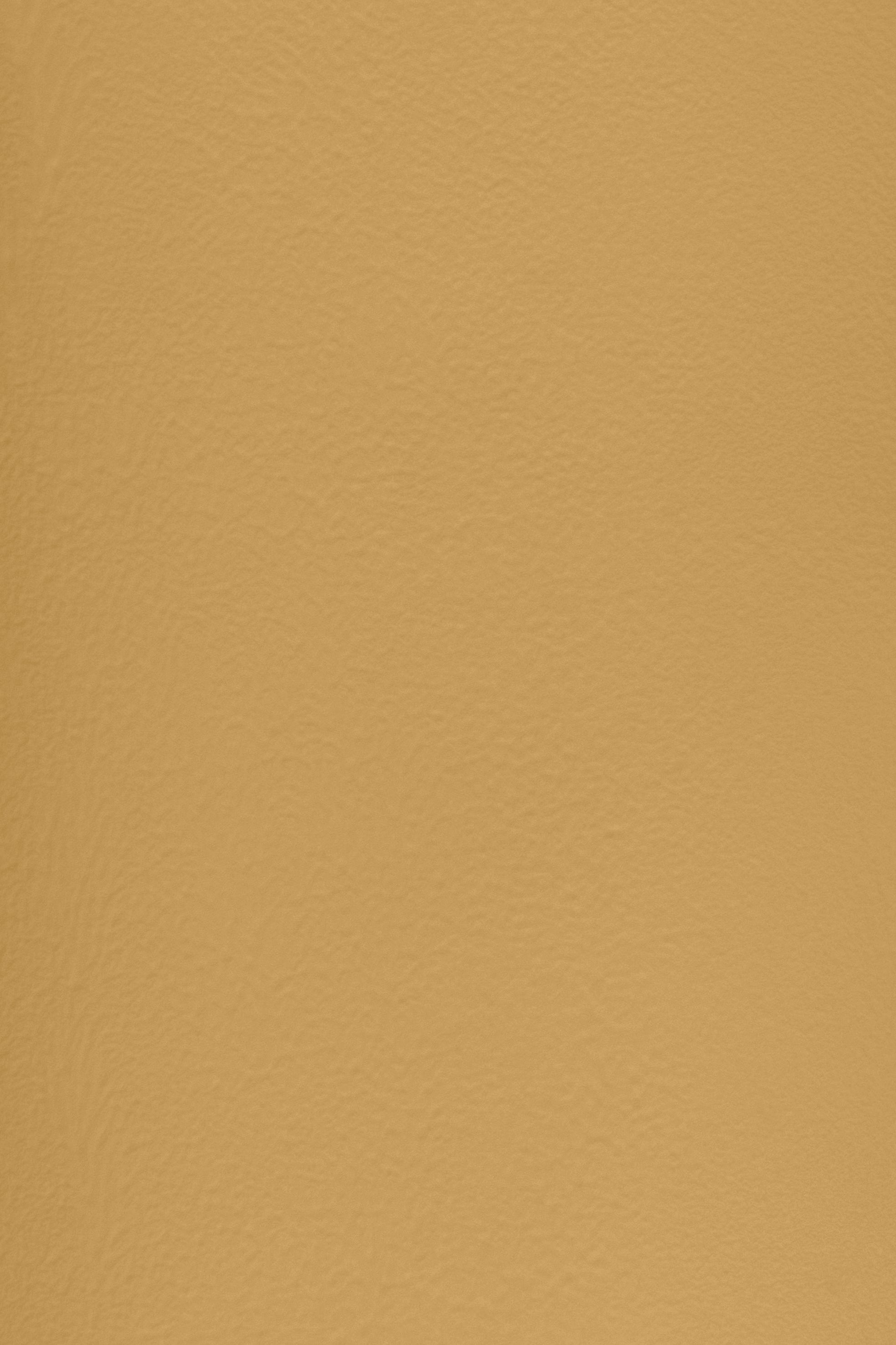 Essential 14 Ochre Room by Blēo