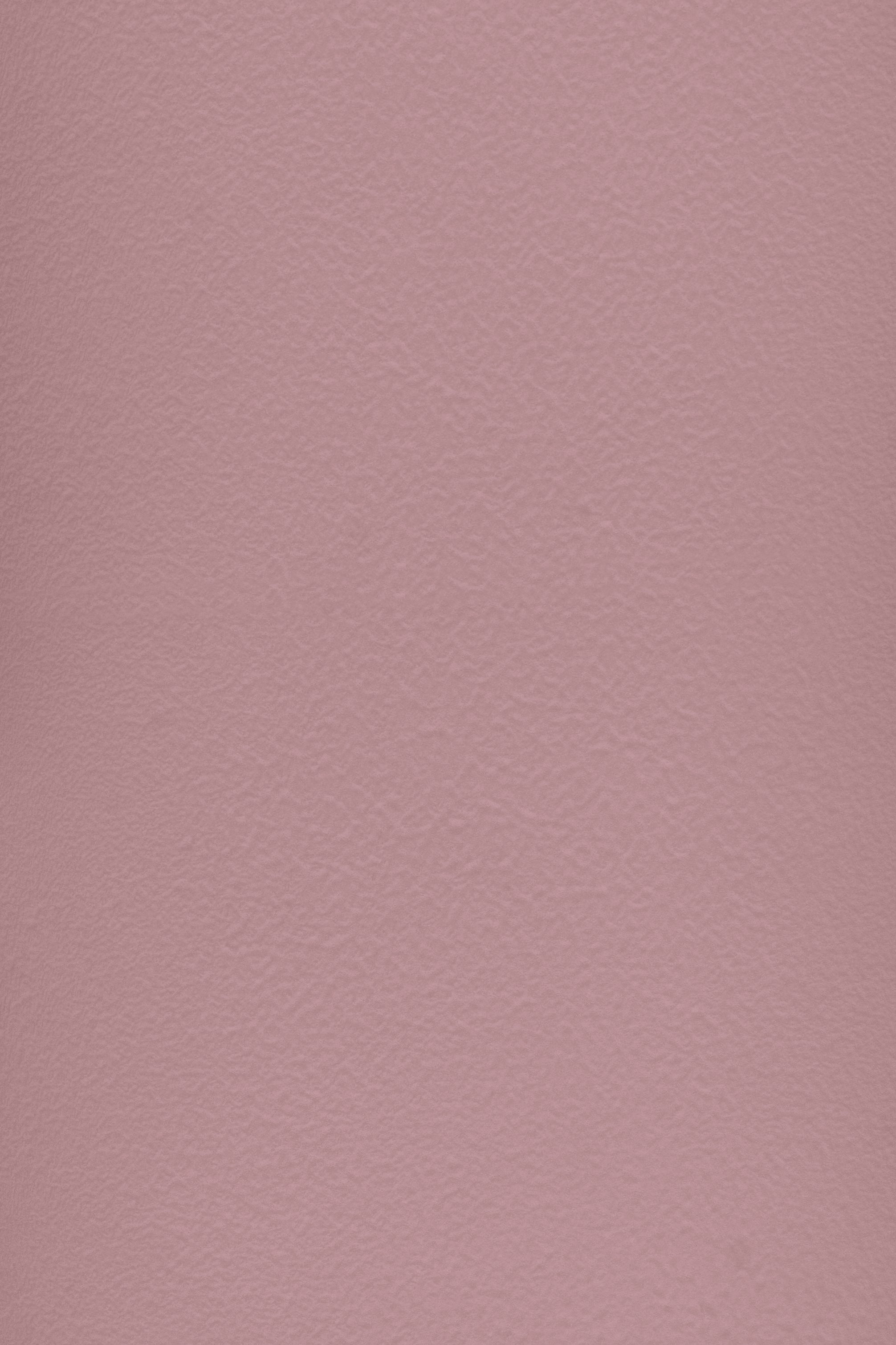 Essential 16 Pale Flower by Blēo