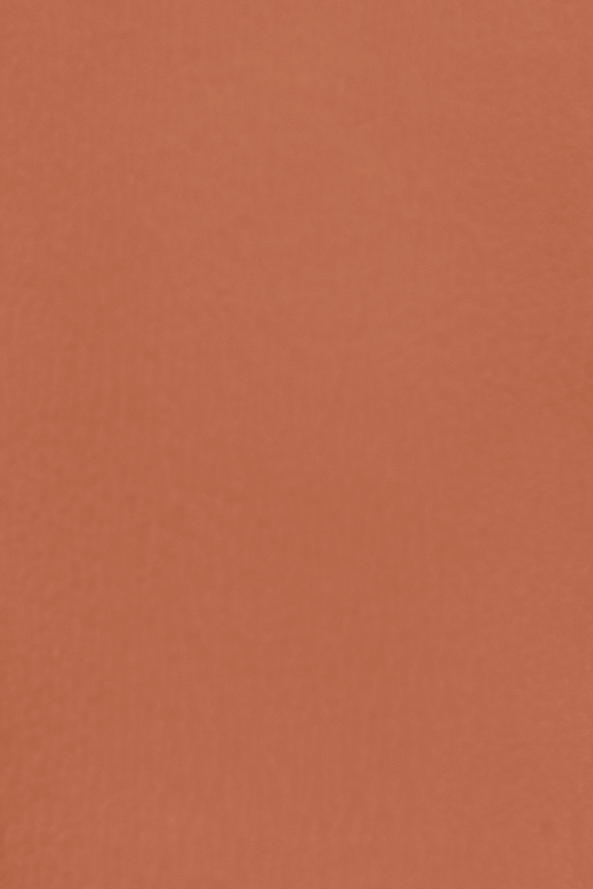Essential 18 Clay Rose by Blēo