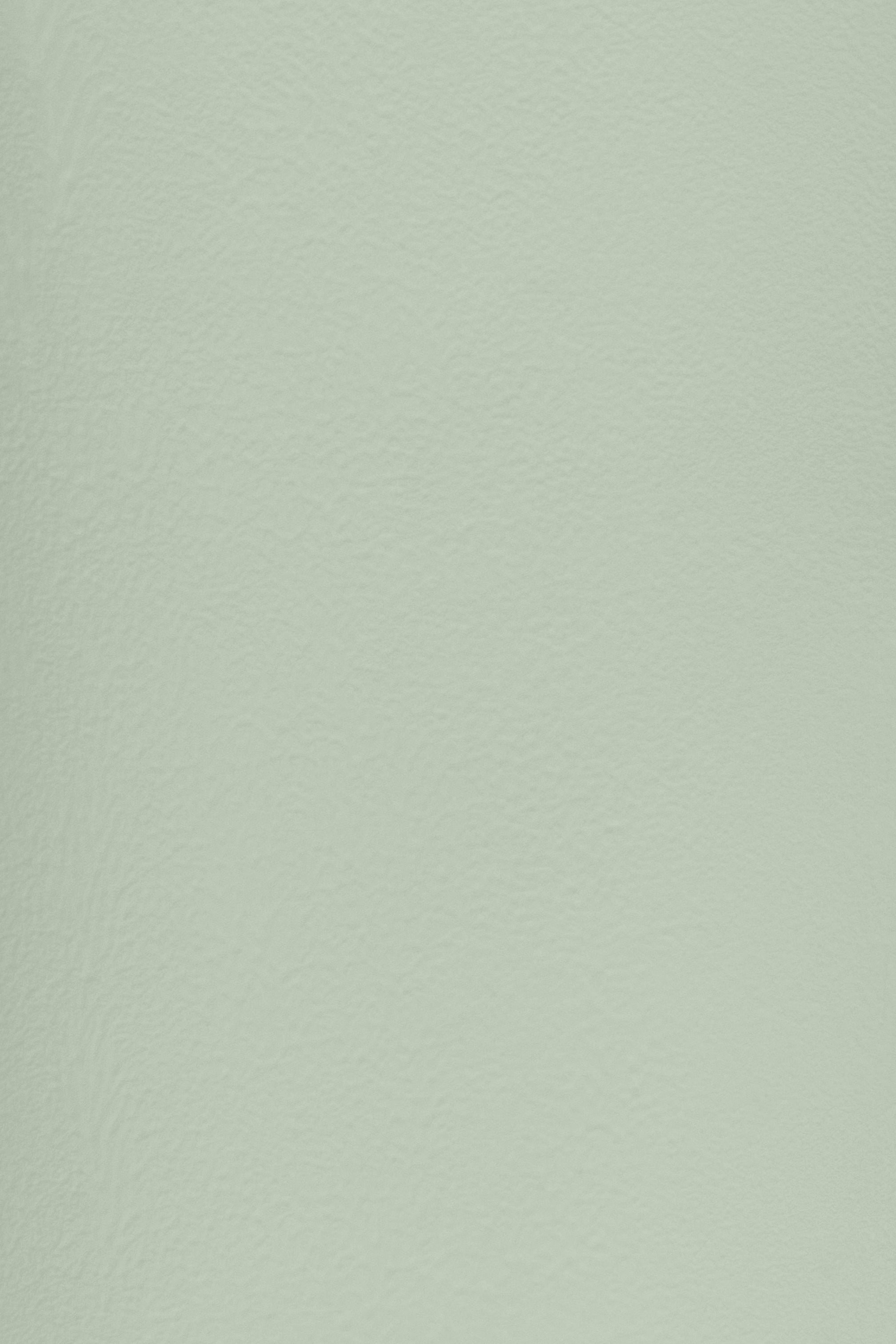 Essential 21 Mist Green by Blēo
