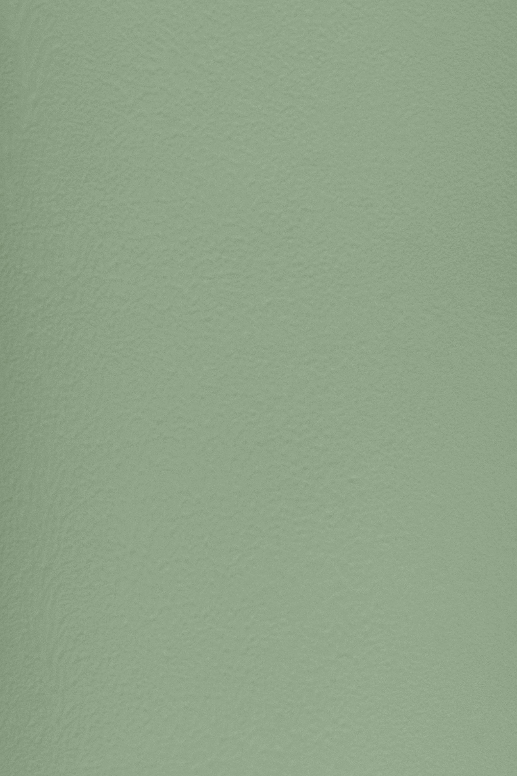 Essential 22 Garden Sage by Blēo