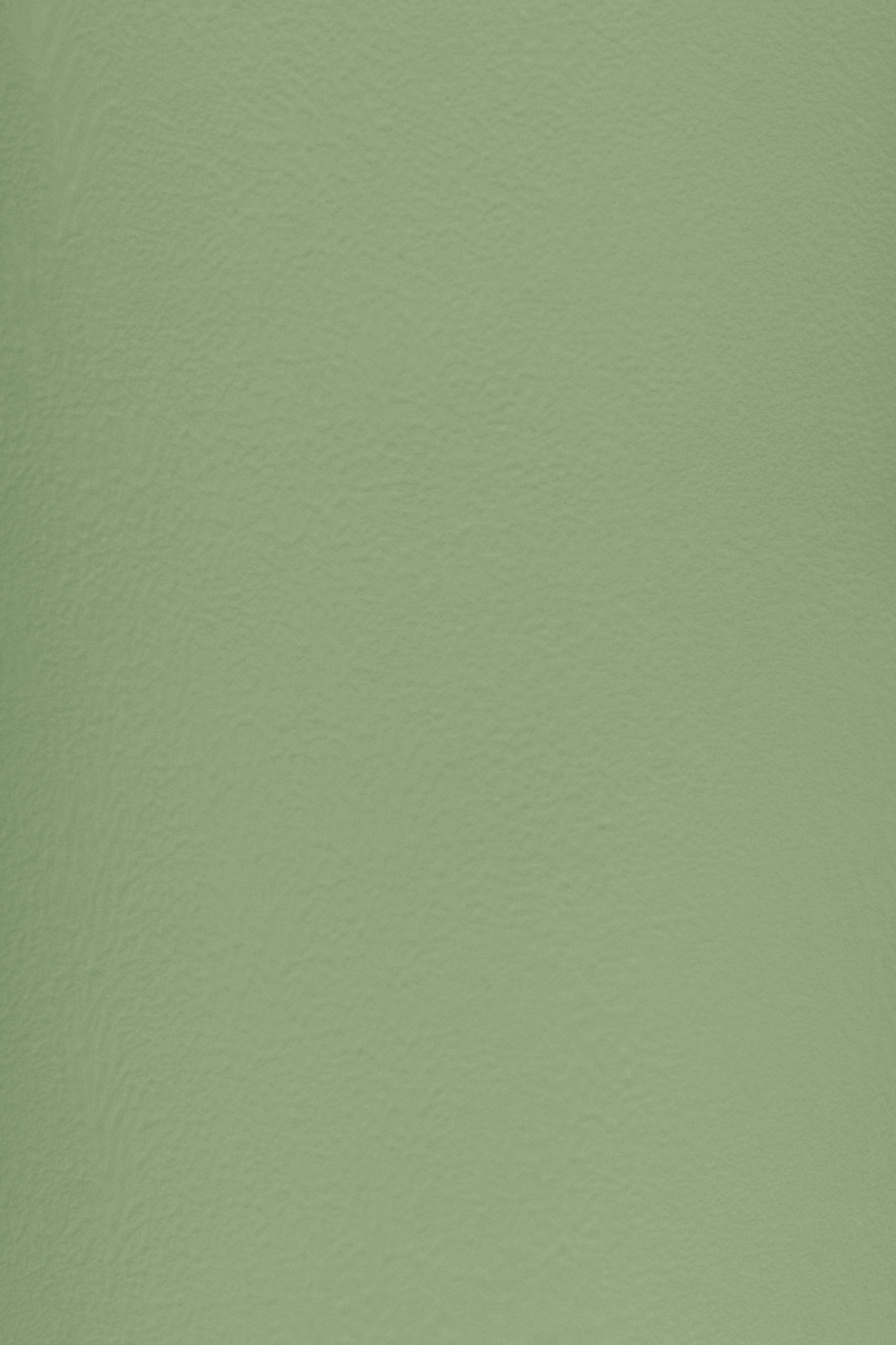 Essential 22 Garden Sage by Blēo