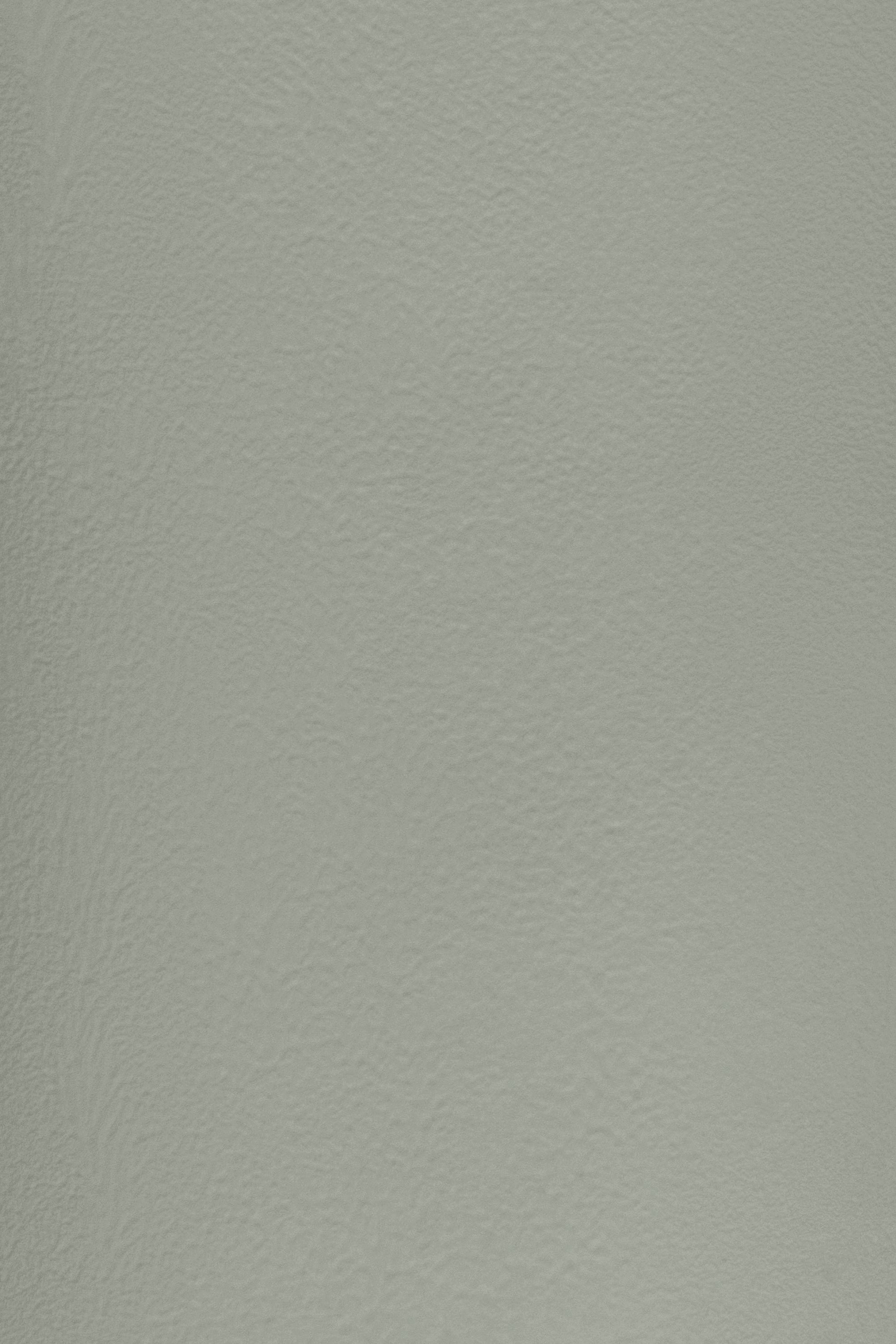 Essential 23 Grey Olive by Blēo