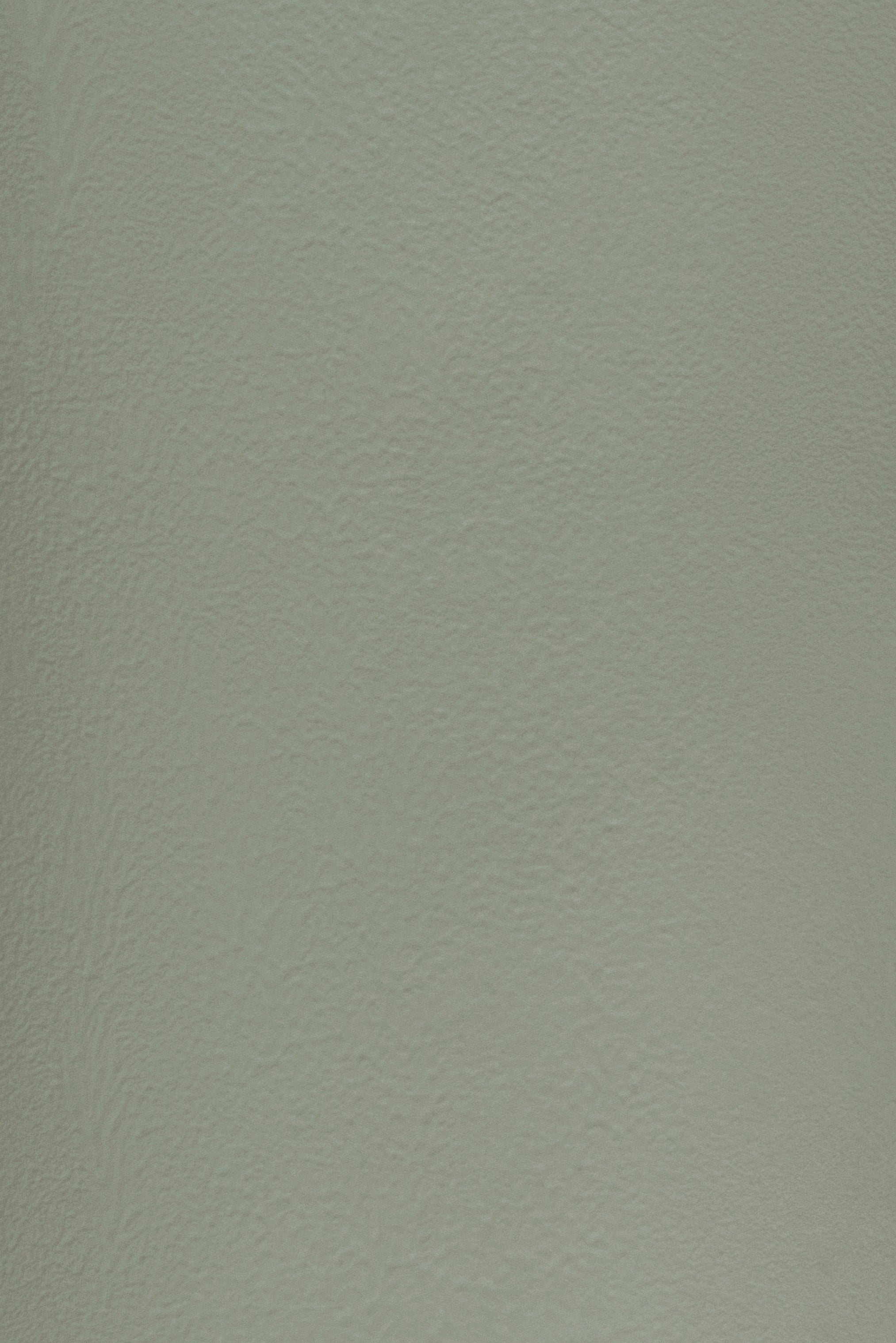 Essential 23 Grey Olive by Blēo
