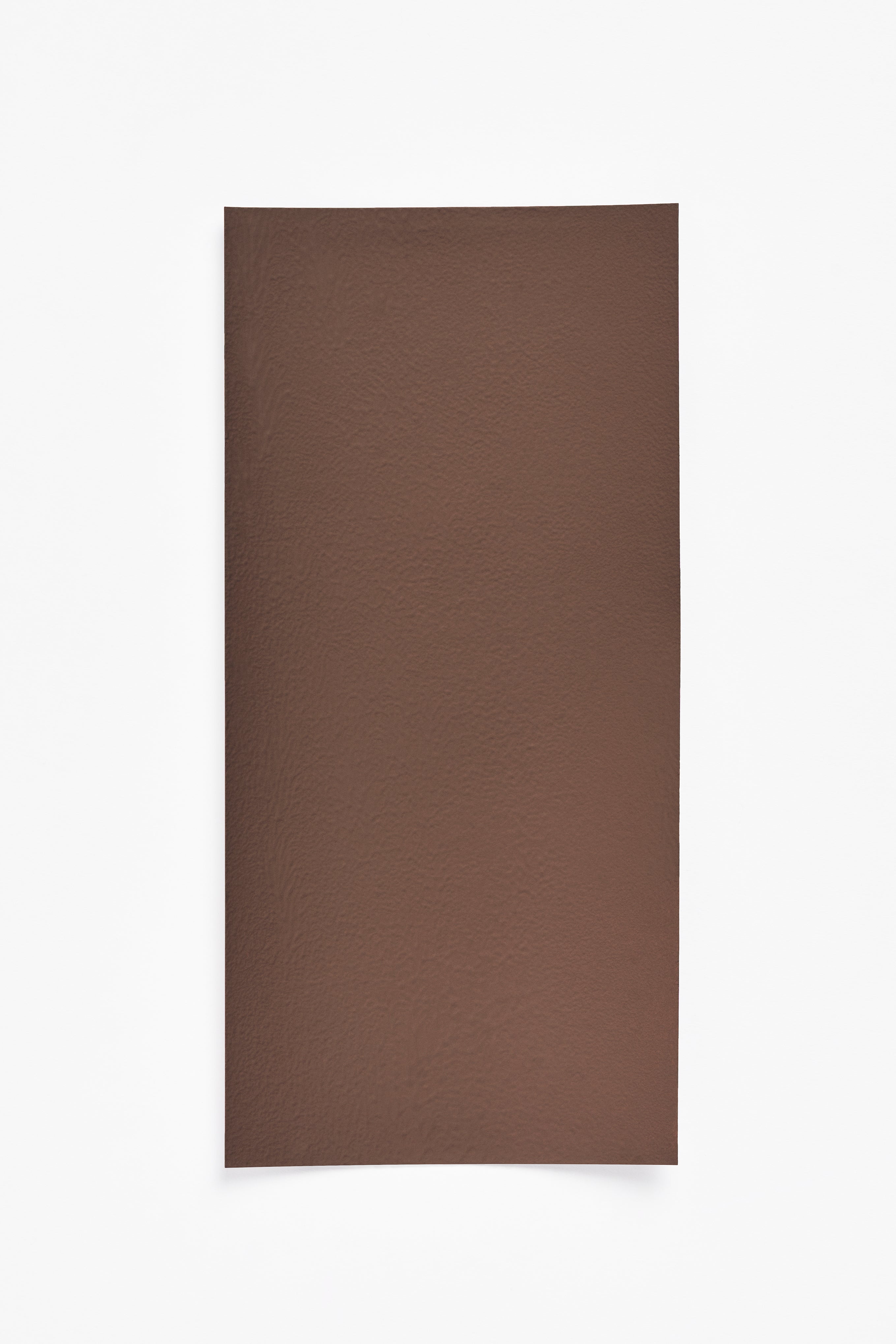 bush de brunt 初期 FIRST TIME タンカラー TAN bush de brunt 初期