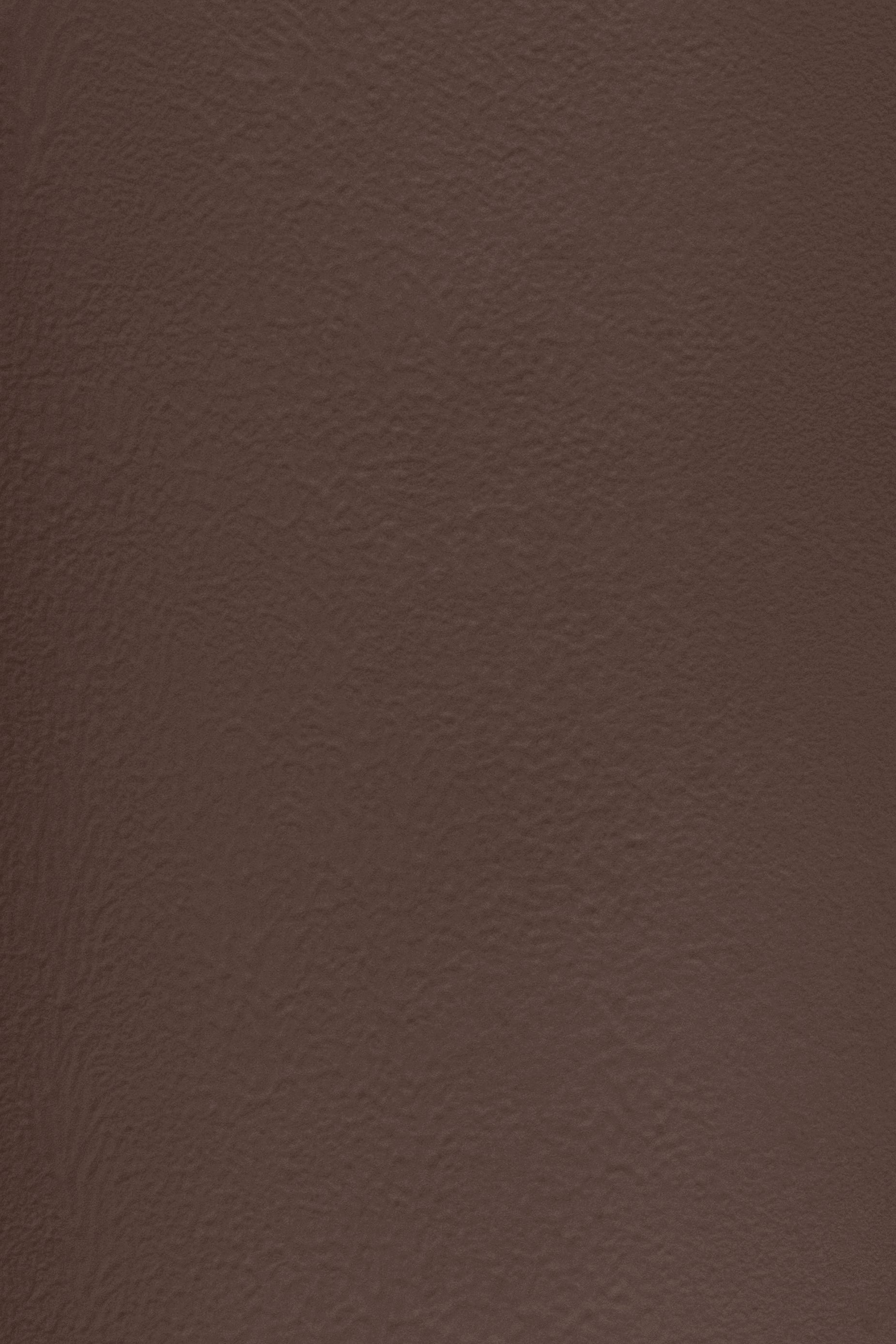 FO FA 06 Worn Leather by Formafantasma