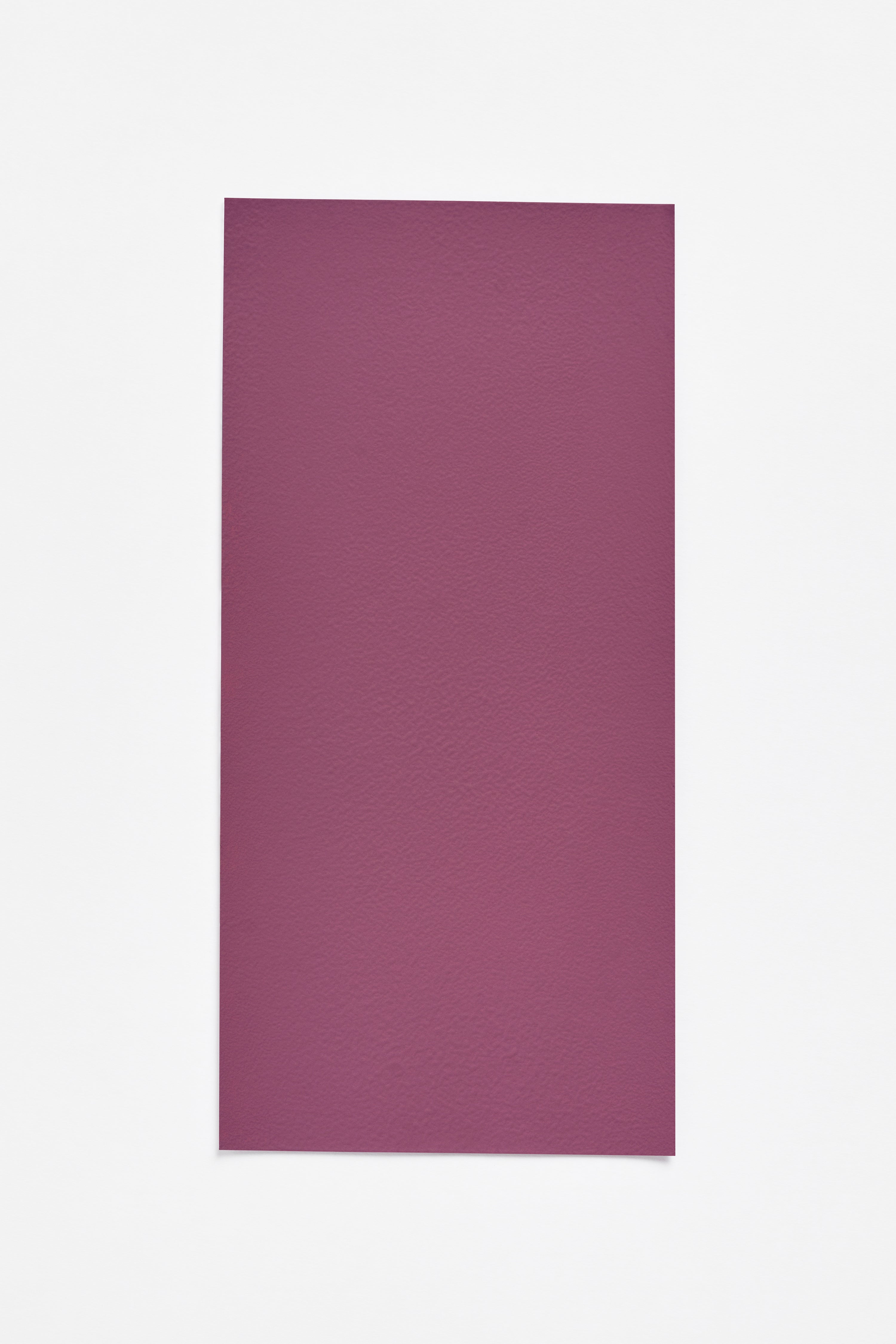 Josef Albers paint colour 01 for Bleo 