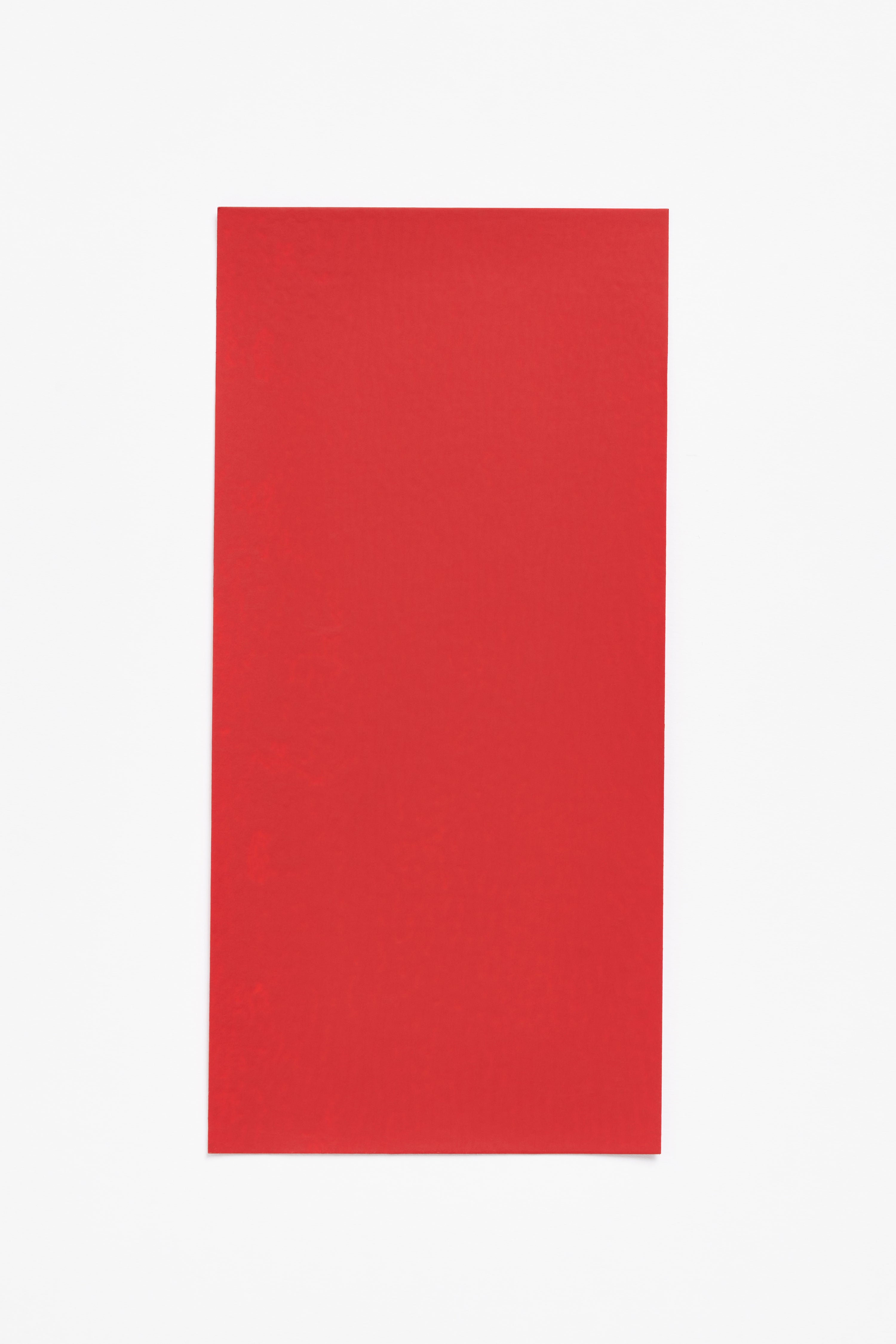 Divya Red — a paint colour developed by Cecilie Bahnsen for Blēo