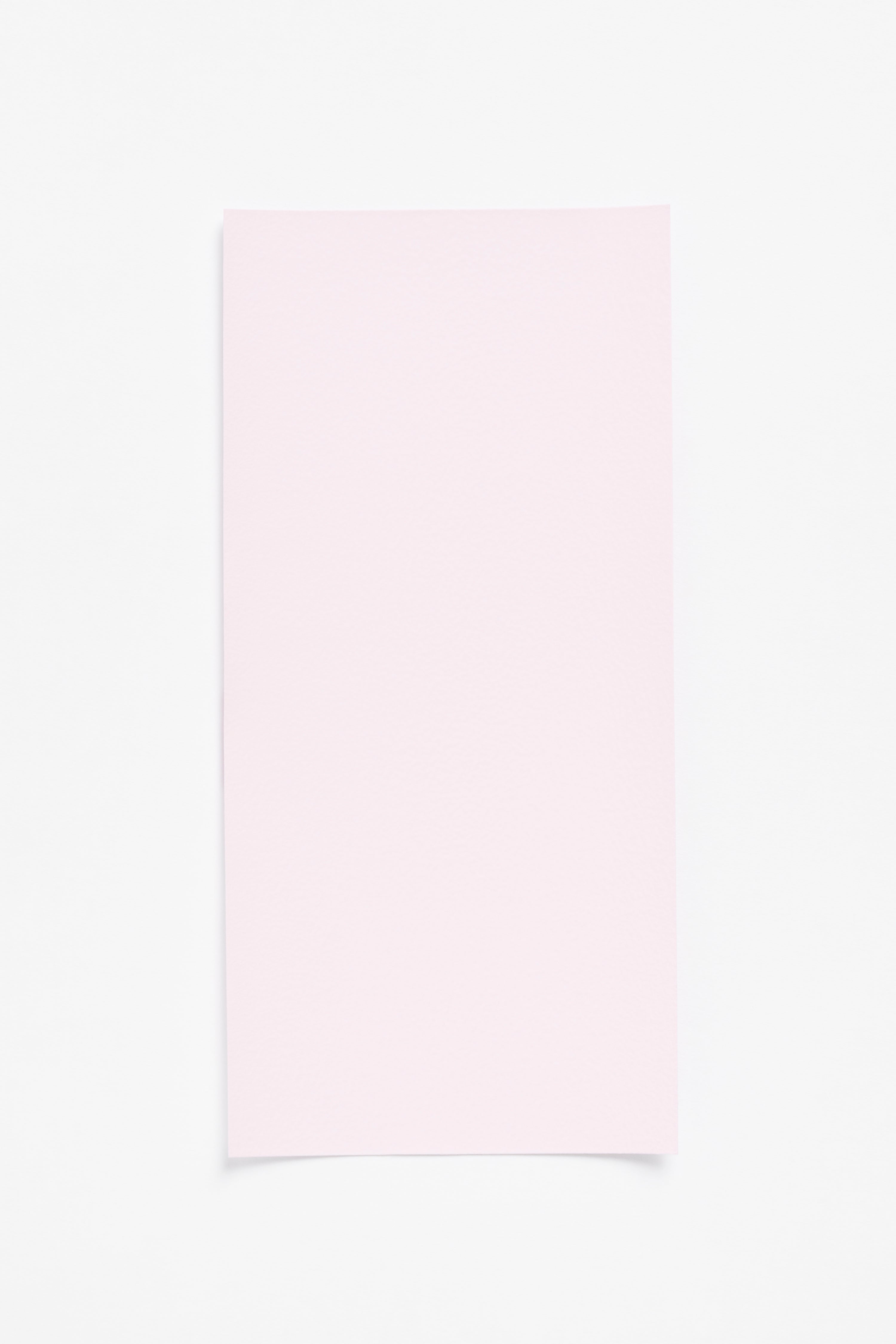 Ulanda Pink — a paint colour developed by Cecilie Bahnsen for Blēo