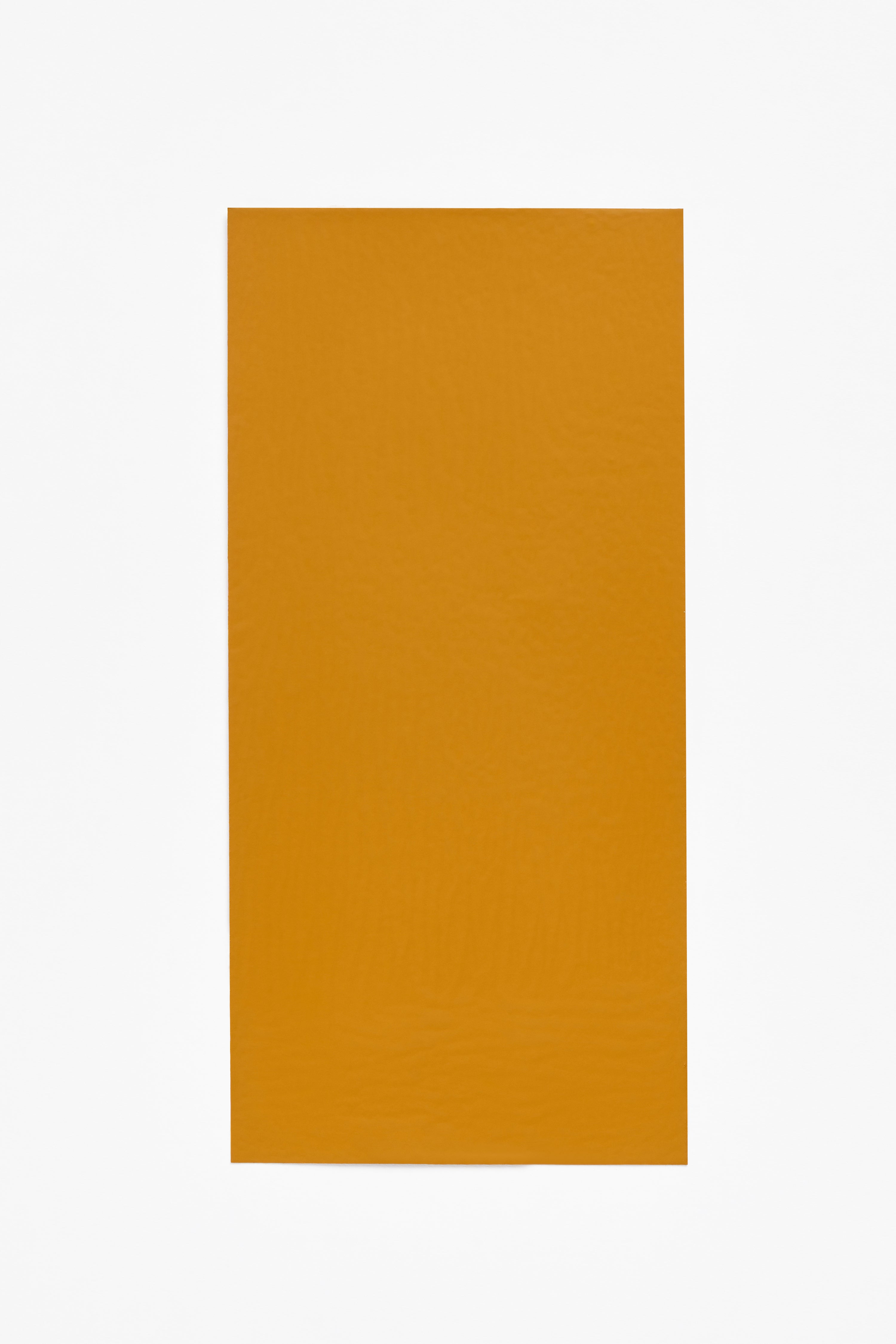 Titian — a paint colour developed by David Thulstrup for Blēo