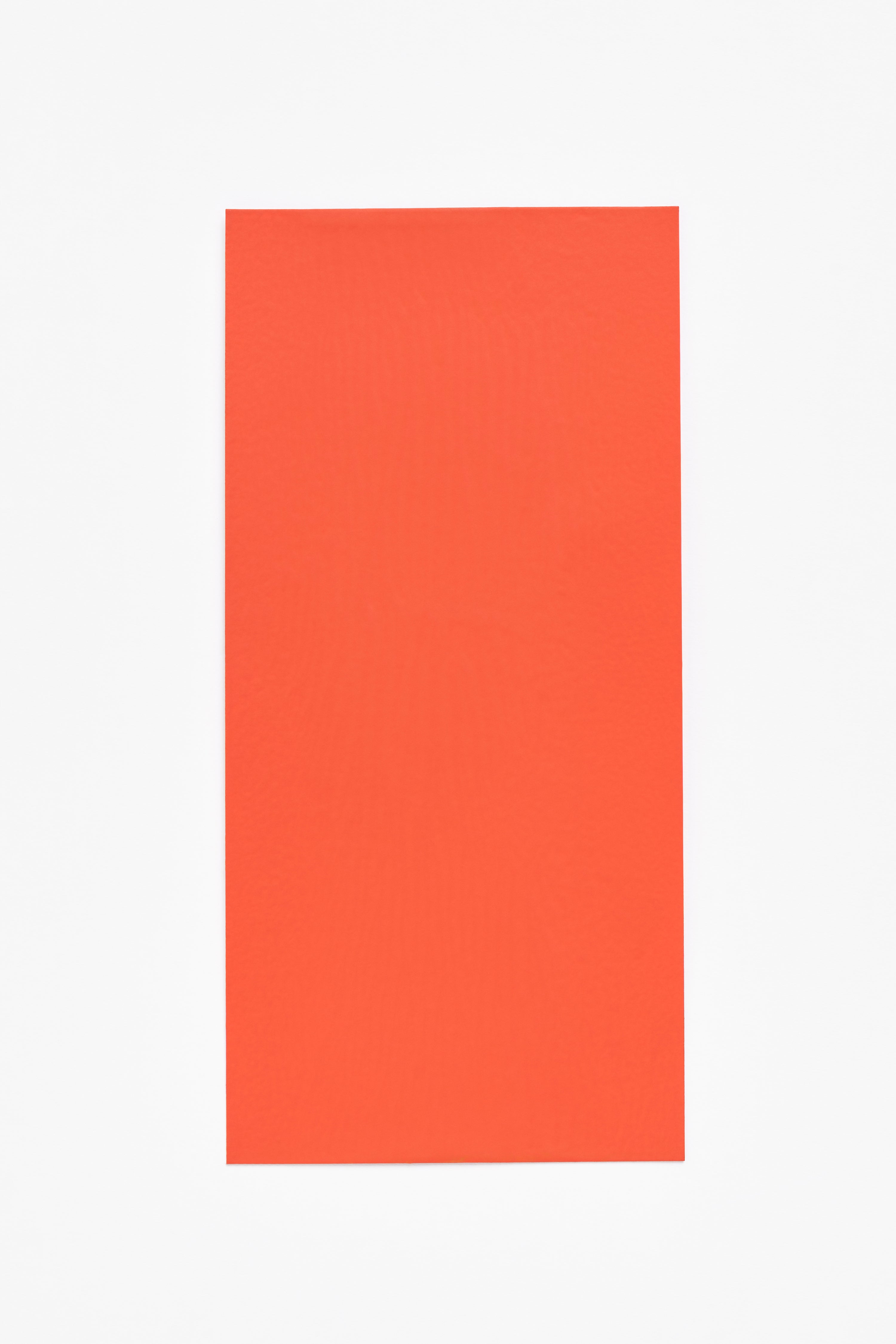 Coral — a paint colour developed by David Thulstrup for Blēo