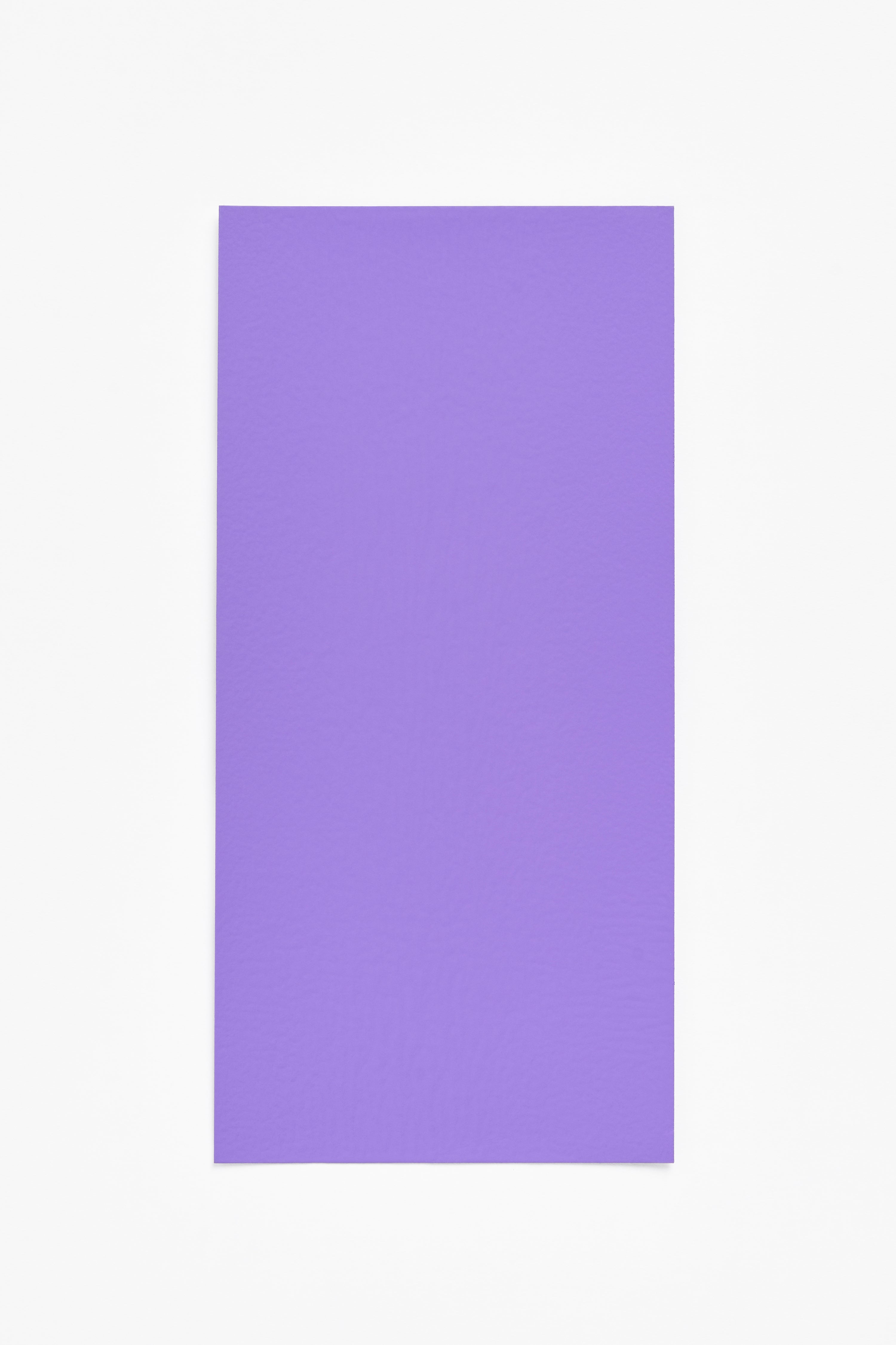 Purple — a paint colour developed by Halleroed for Blēo