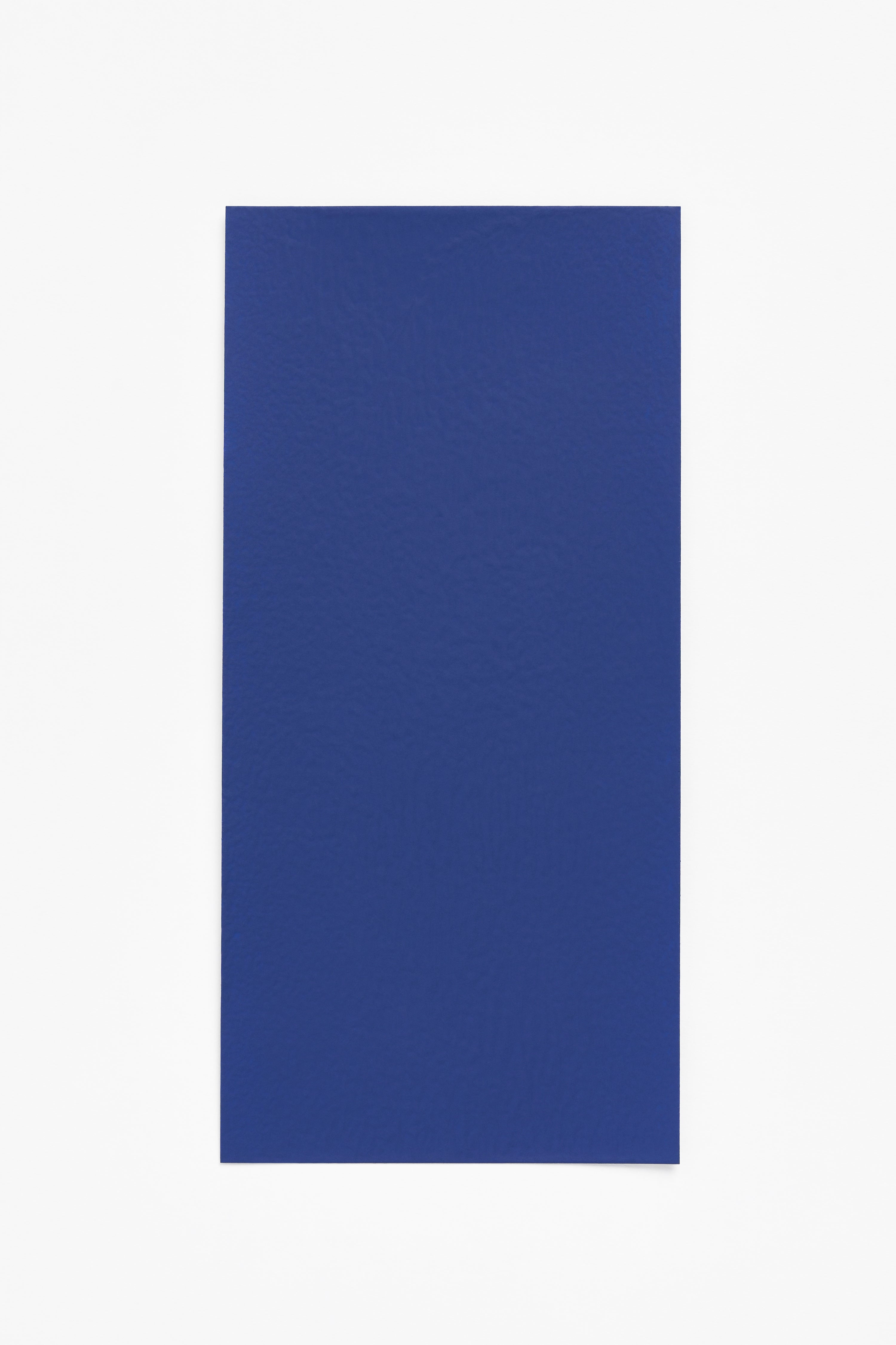 Raf — a paint colour developed by Halleroed for Blēo