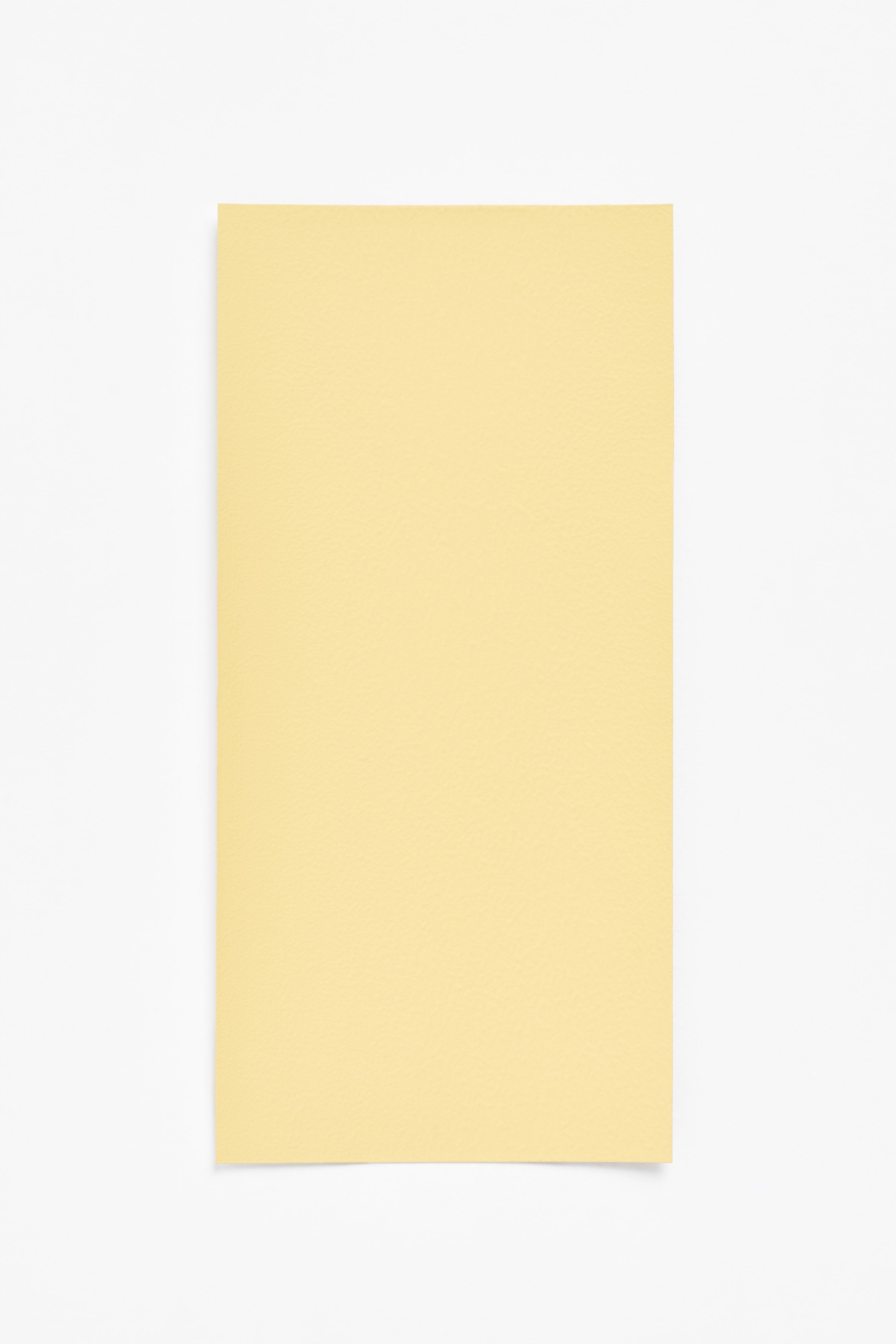 Lemon Peel — a paint colour developed by Halleroed for Blēo