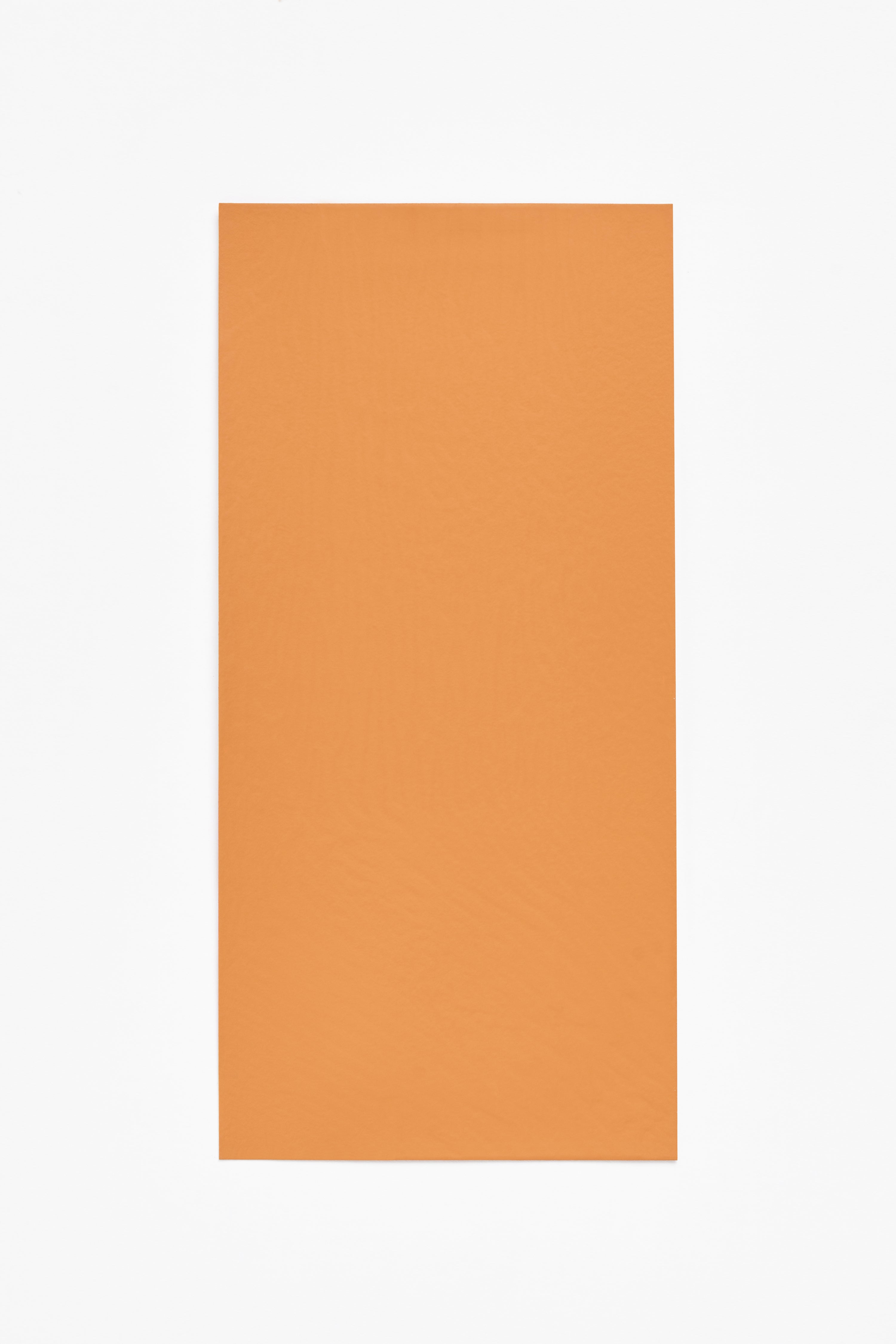 Vintage Ochre — a paint colour developed by Halleroed for Blēo