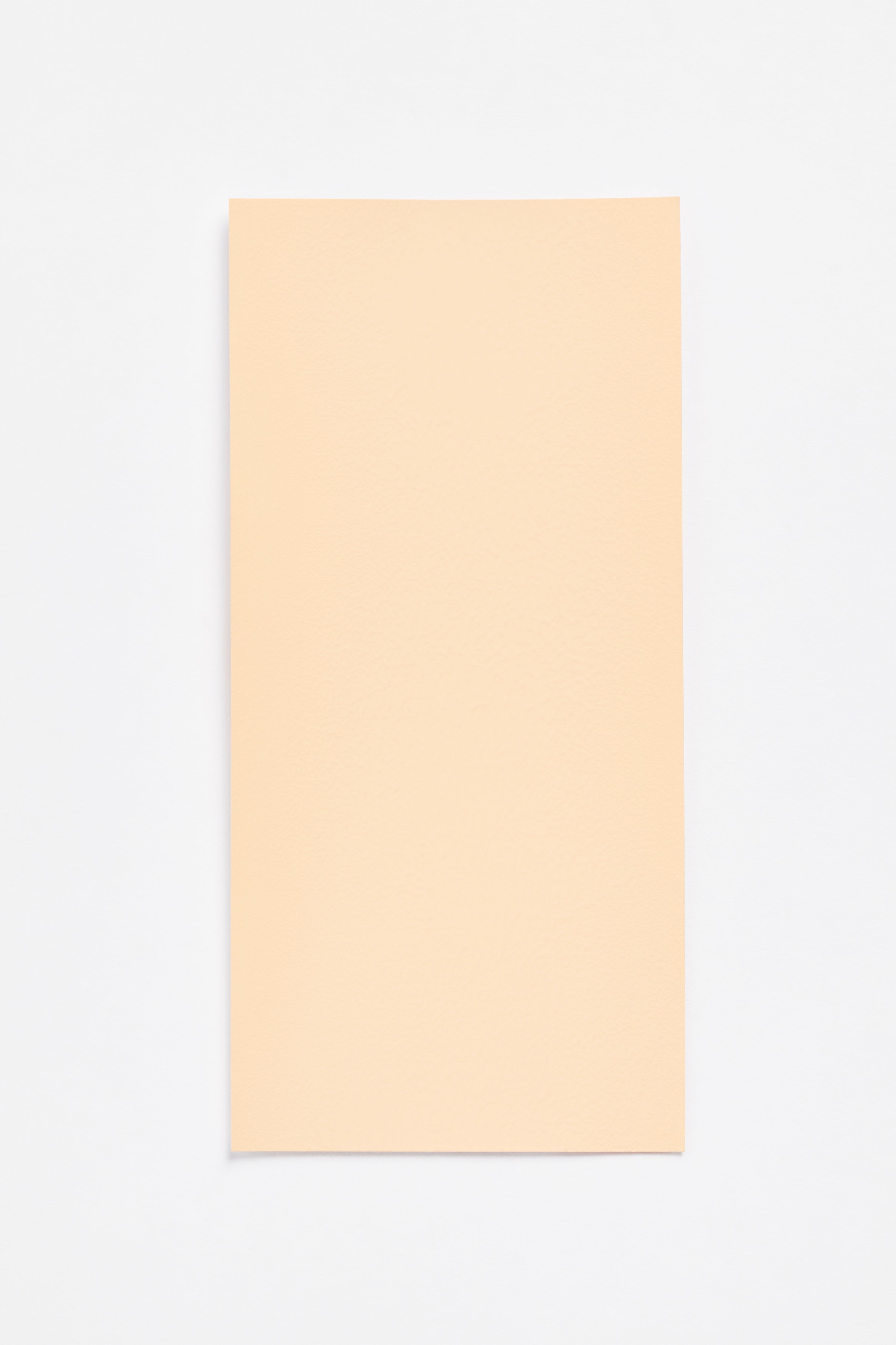 Coquille St. Jacques — a paint colour developed by Inga Sempé for Blēo