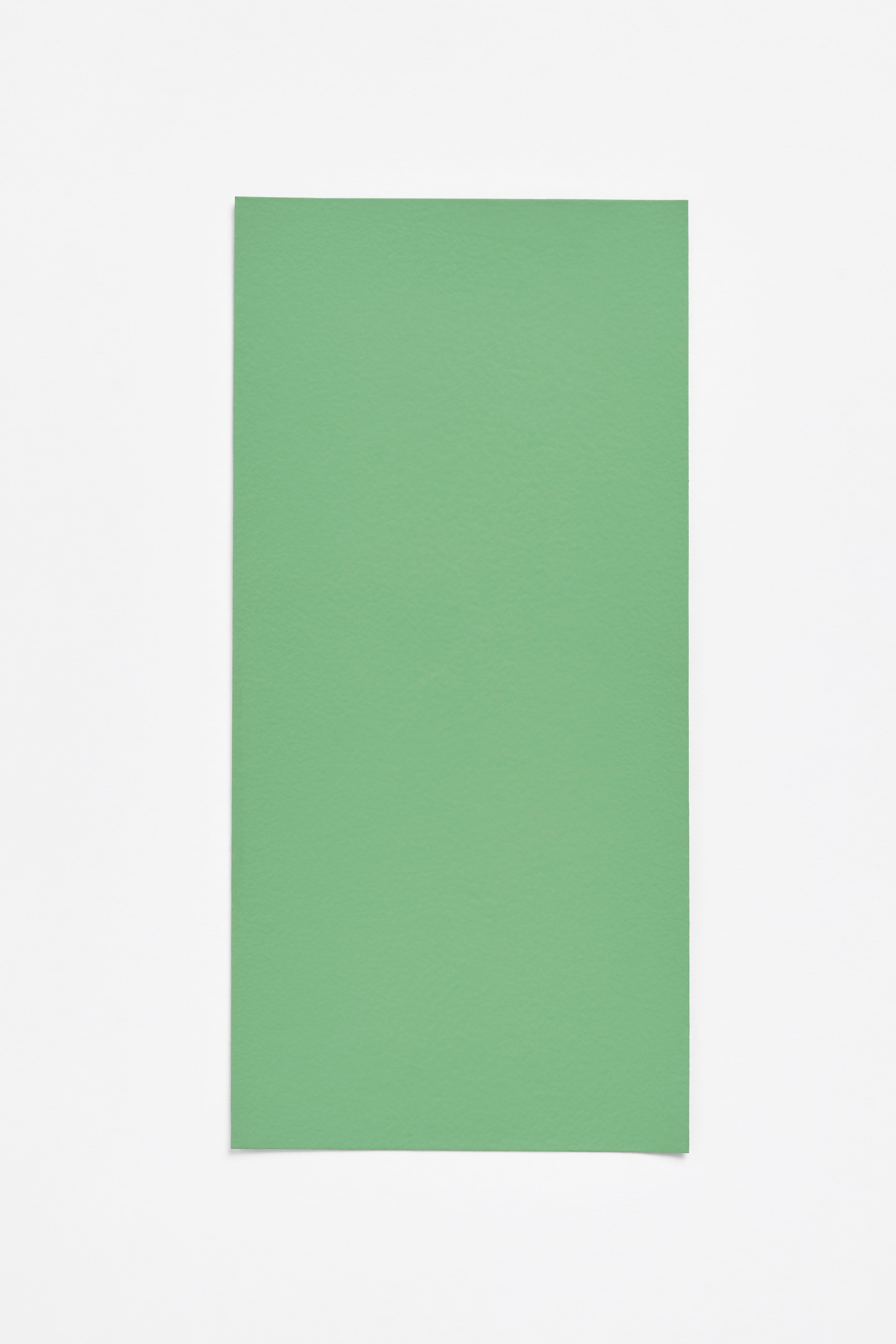 Rhubarbe — a paint colour developed by Inga Sempé for Blēo