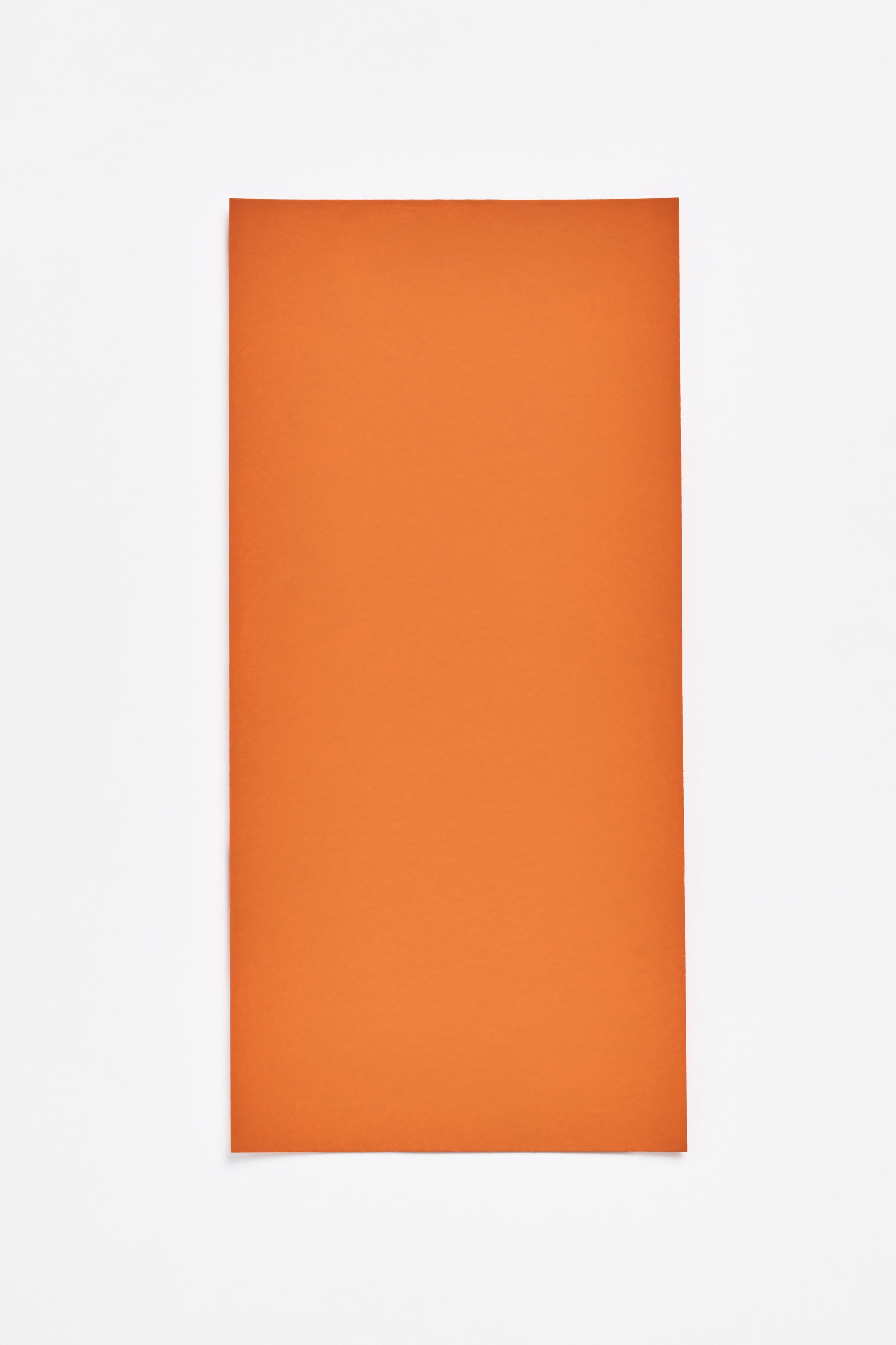 Potimarron — a paint colour developed by Inga Sempé for Blēo