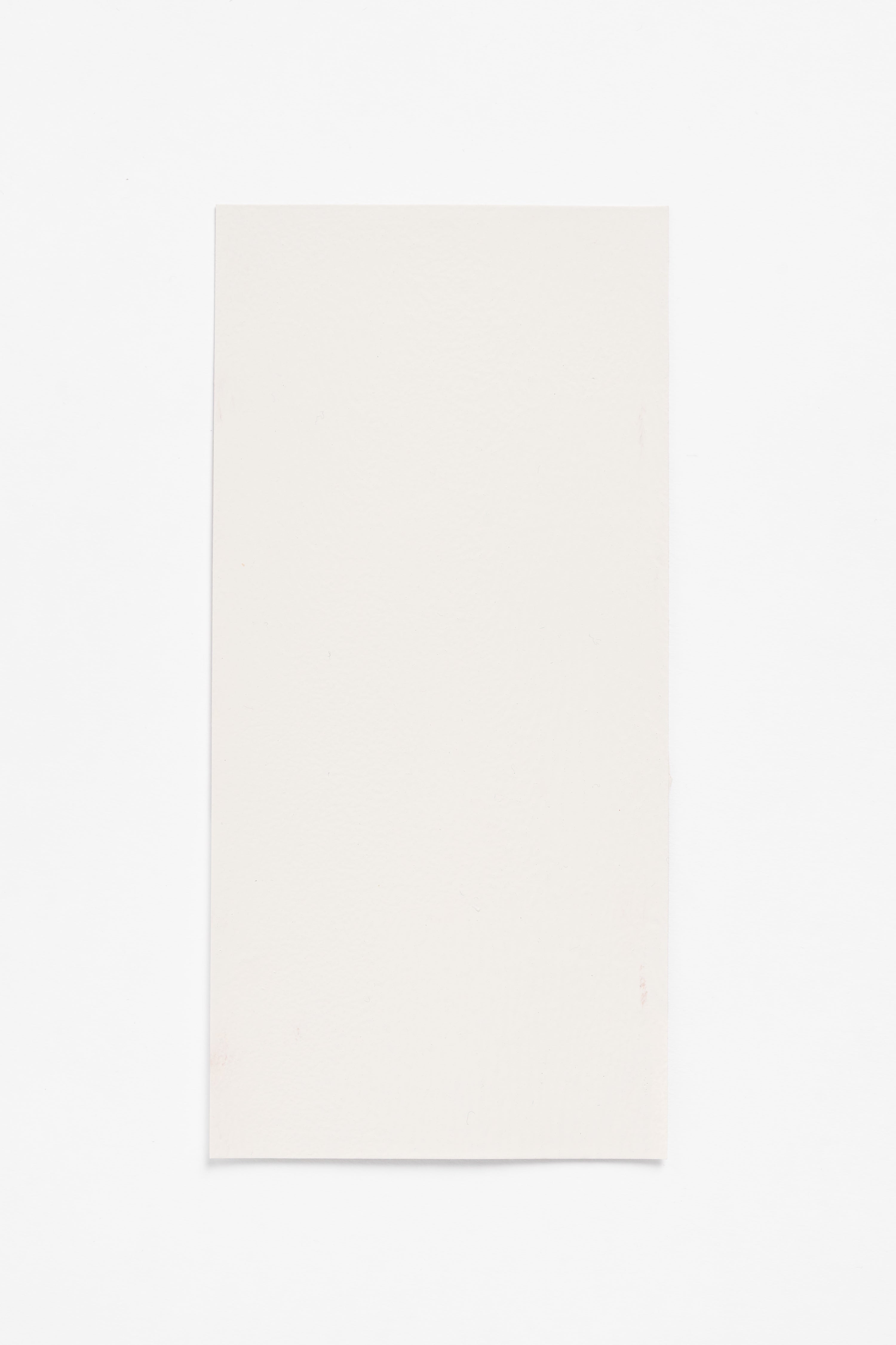 Silver Birch — a paint colour developed by John Pawson for Blēo
