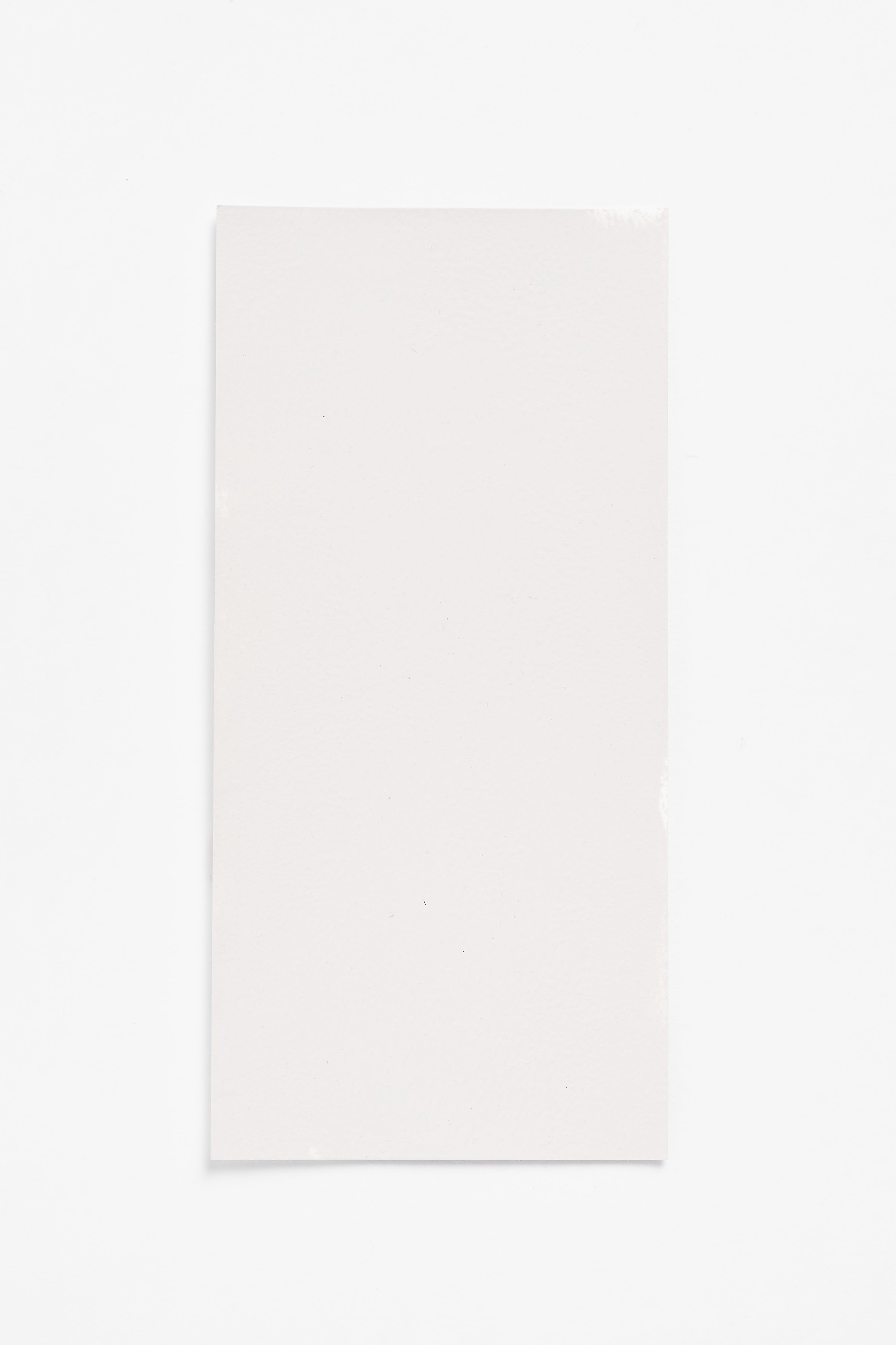 Gypsum — a paint colour developed by John Pawson for Blēo