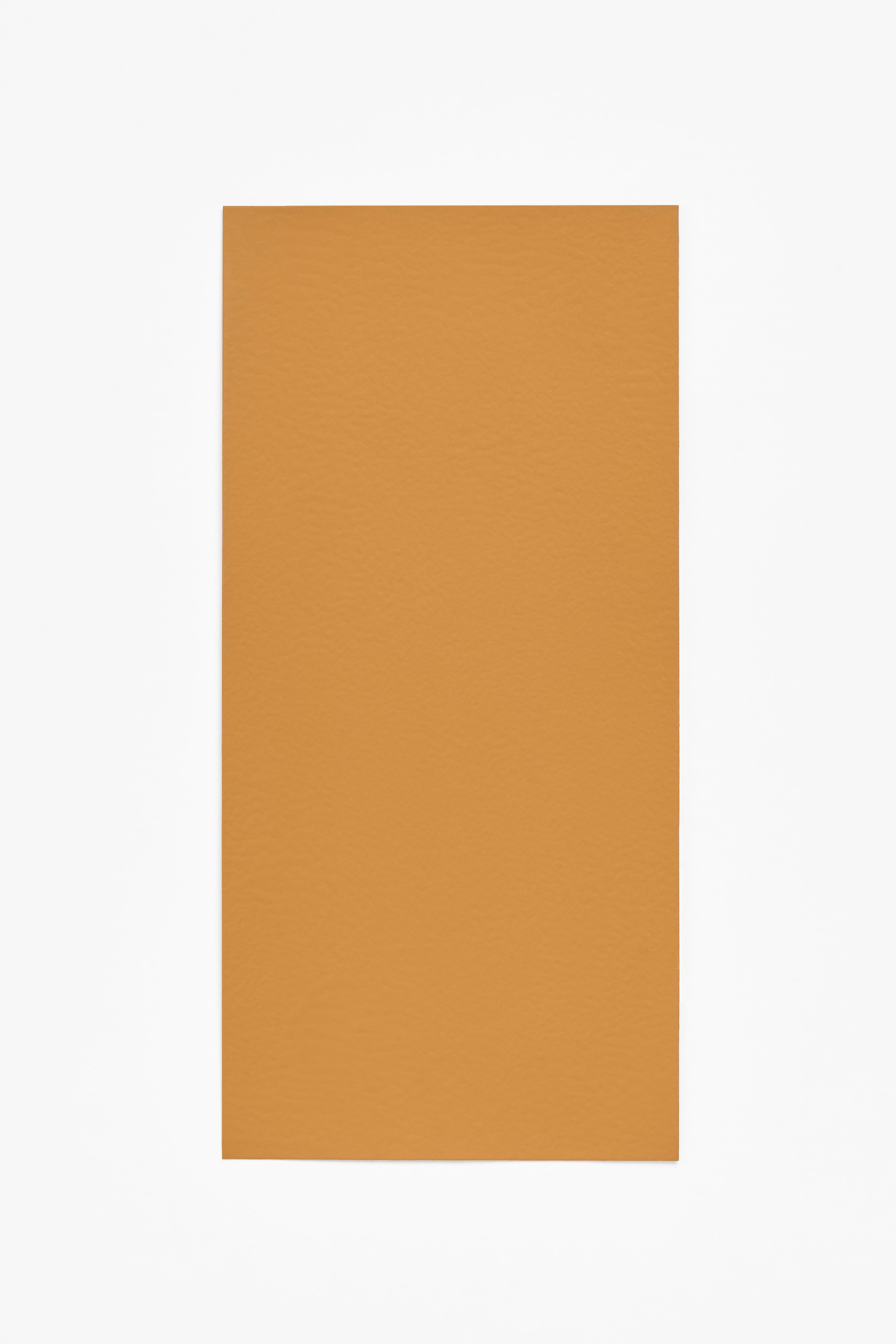Curry — a paint colour developed by Muller Van Severen for Blēo