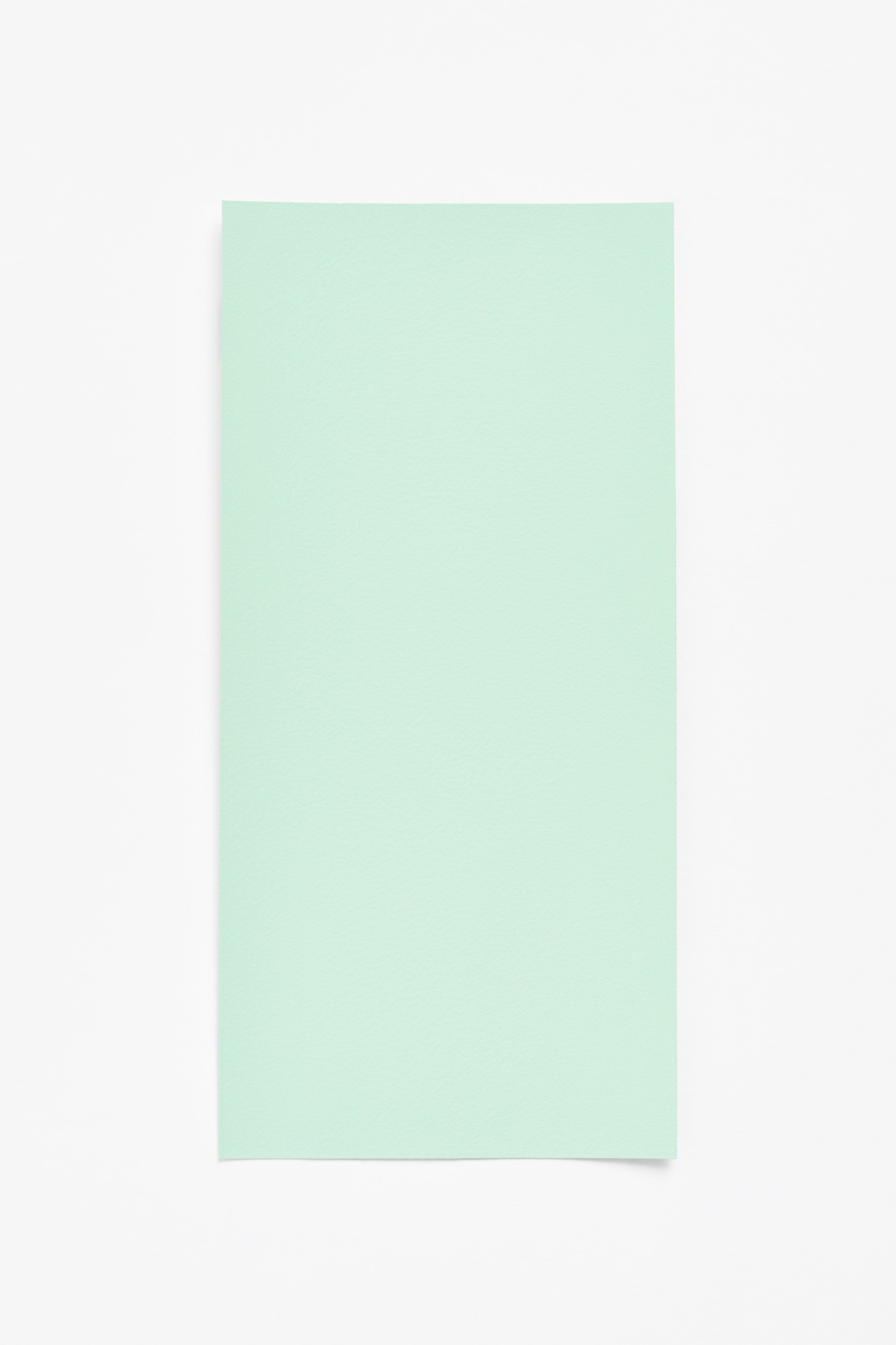 Mint — a paint colour developed by Muller Van Severen for Blēo