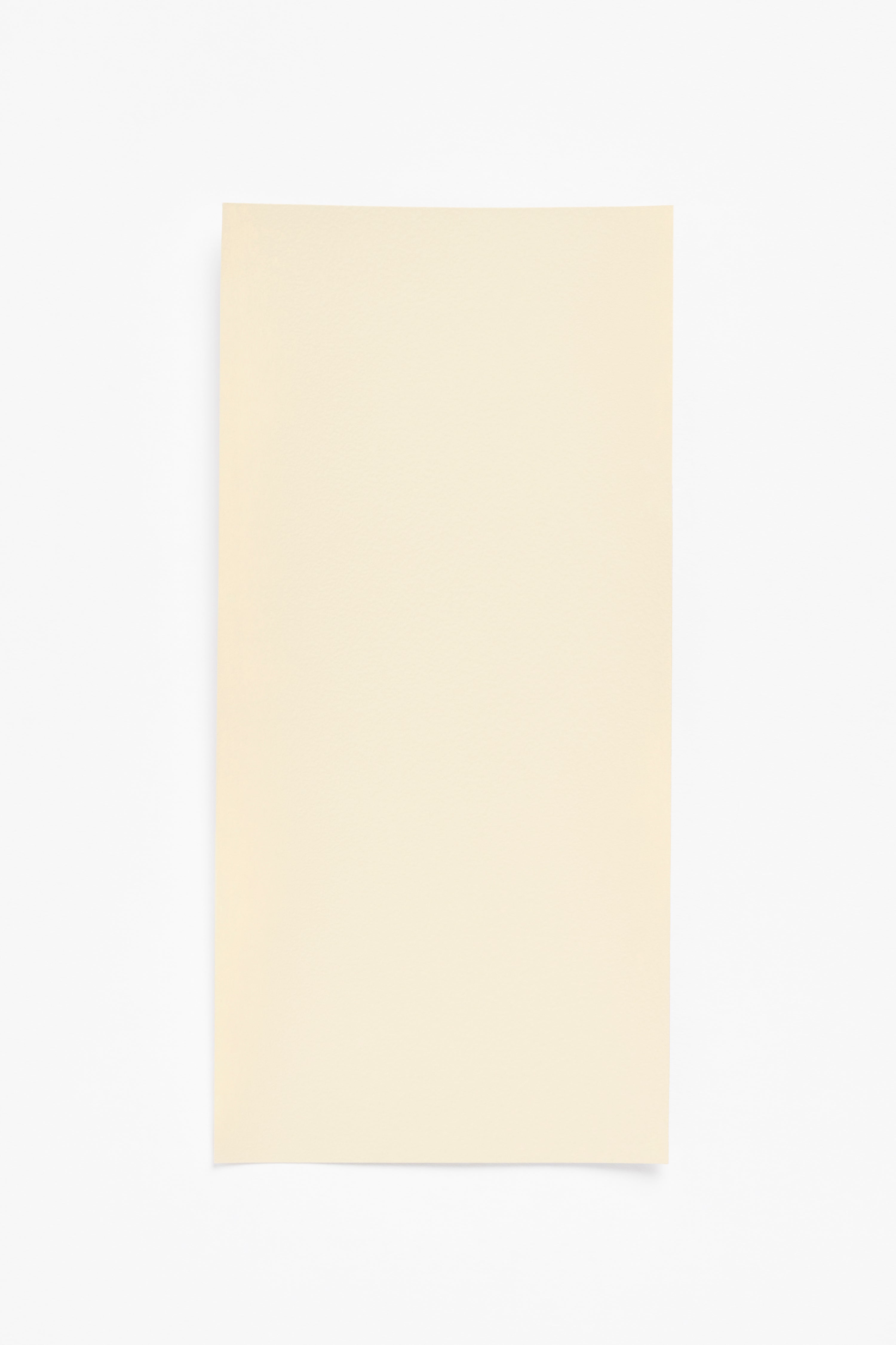 Vanilla — a paint colour developed by Muller Van Severen for Blēo