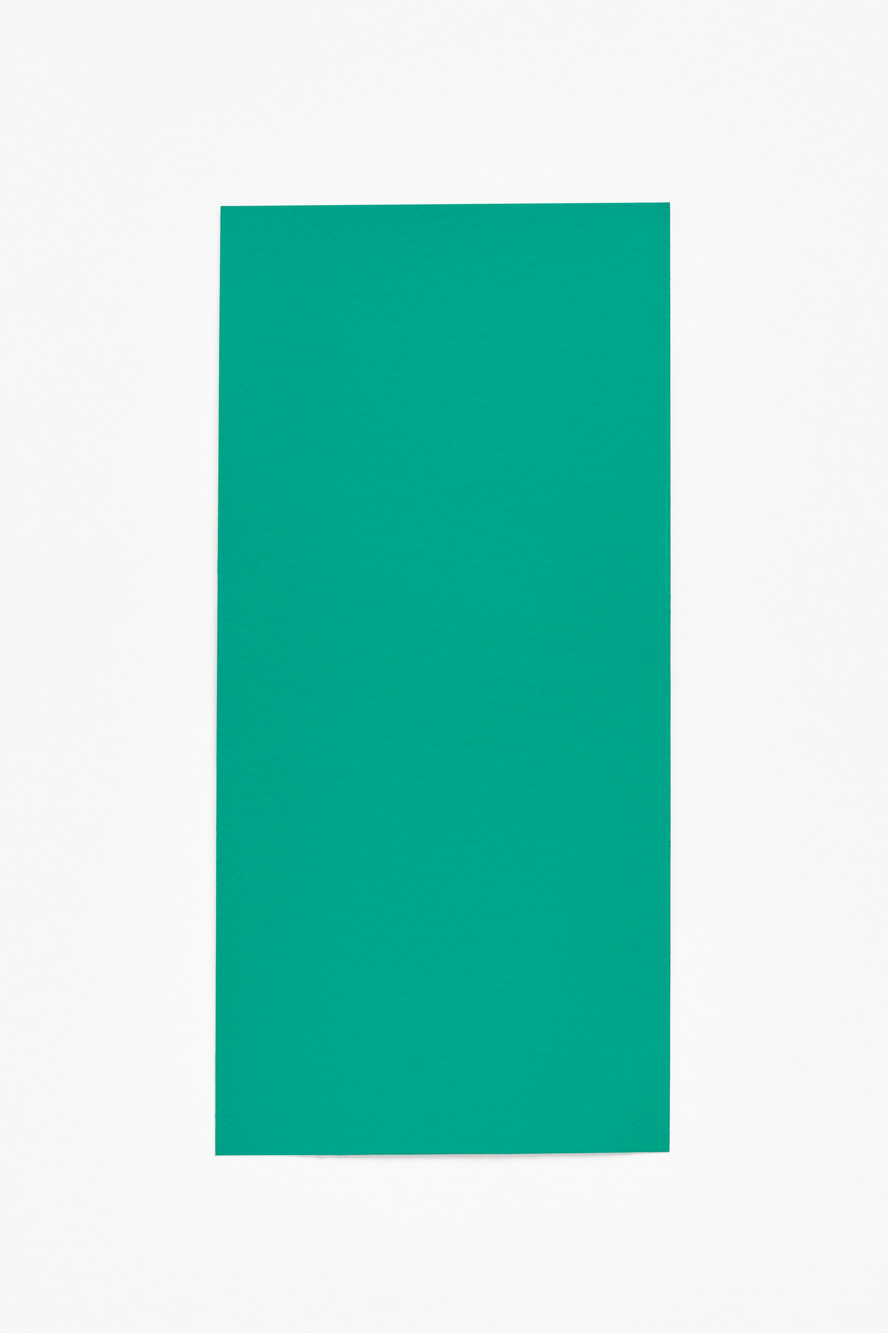 Green — a paint colour developed by Muller Van Severen for Blēo
