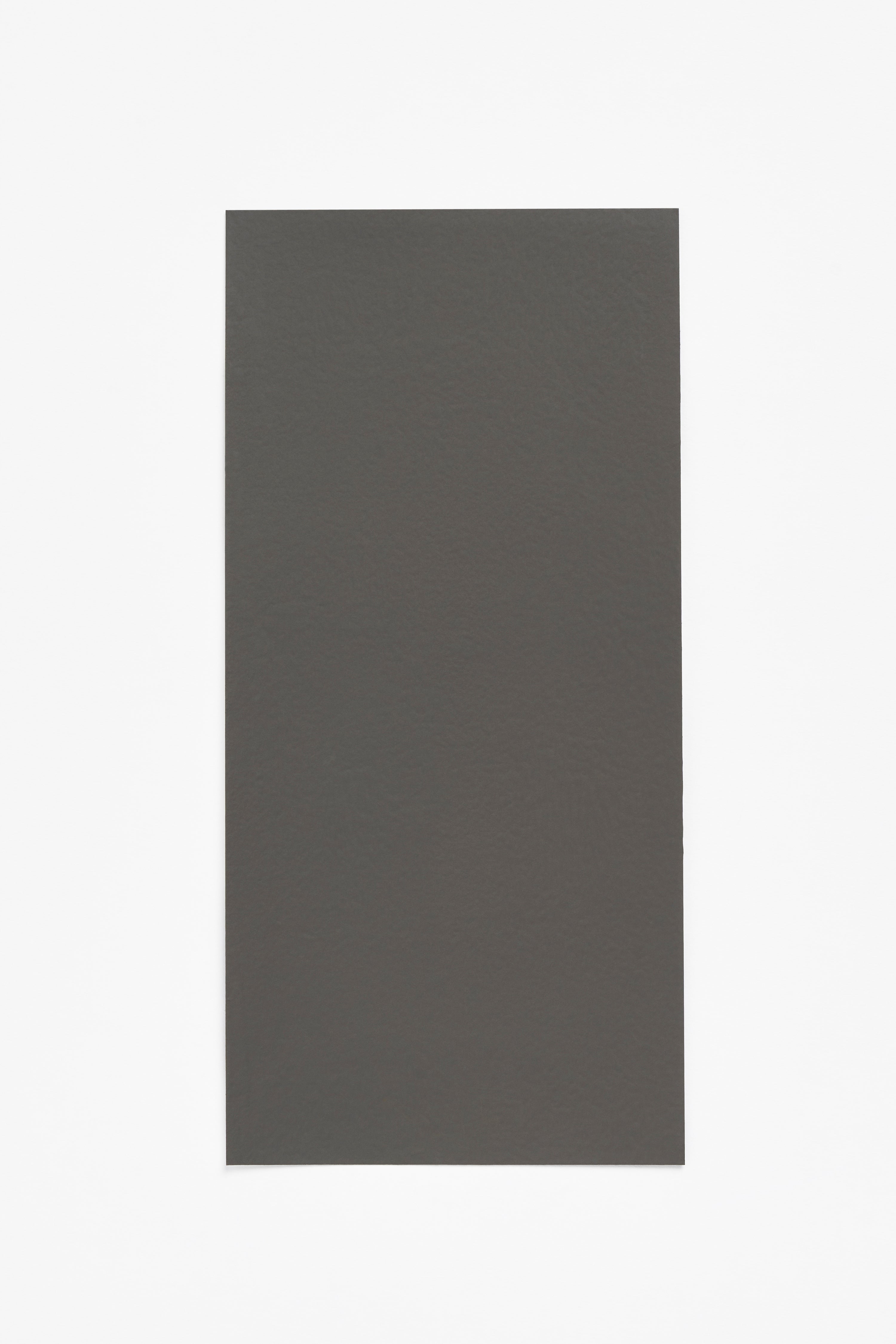 Weathered Bark '— a paint colour developed by Norm Architects for Blēo