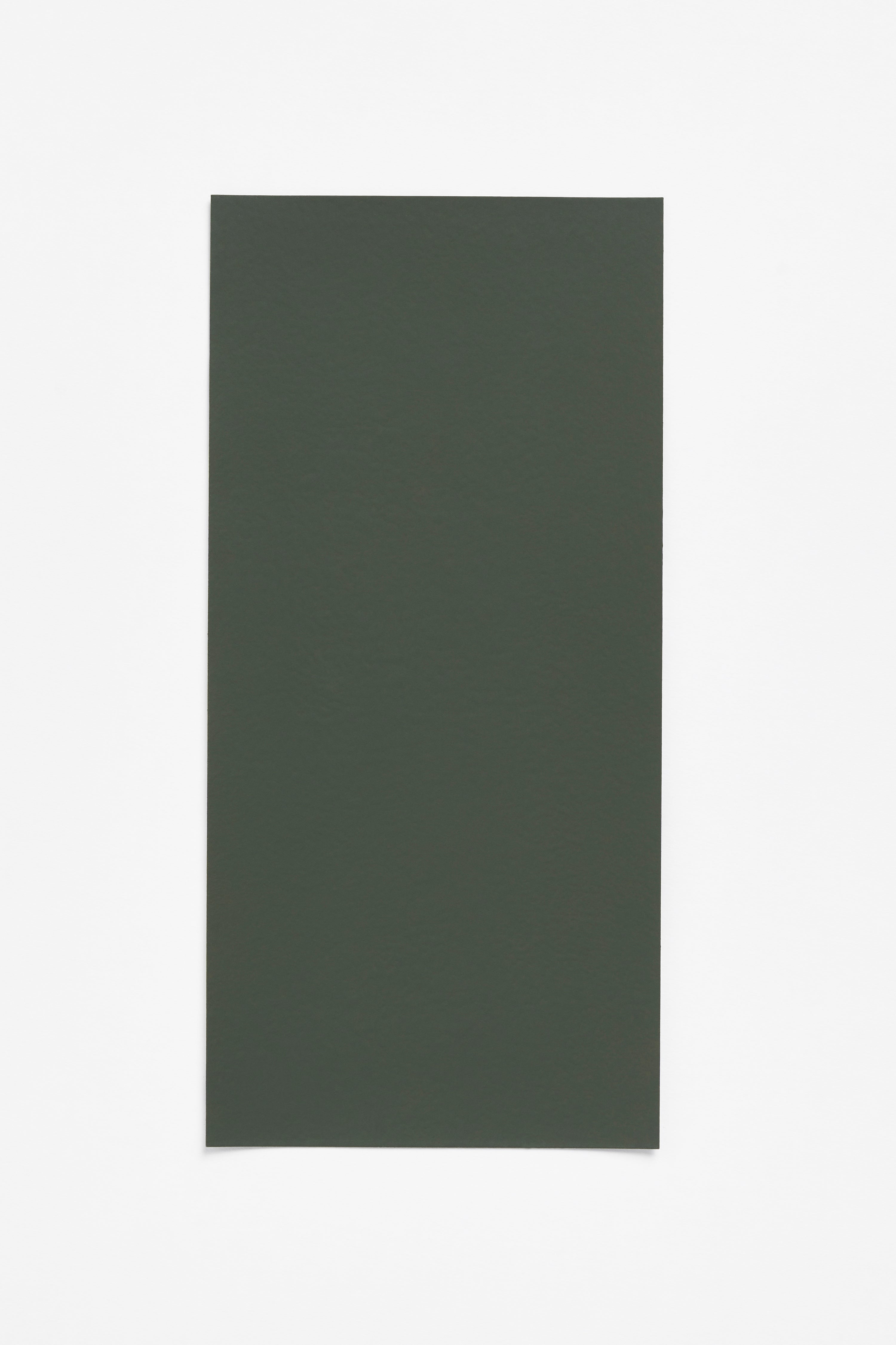 Vert Gris — a paint colour developed by Ronan Bouroullec for Blēo
