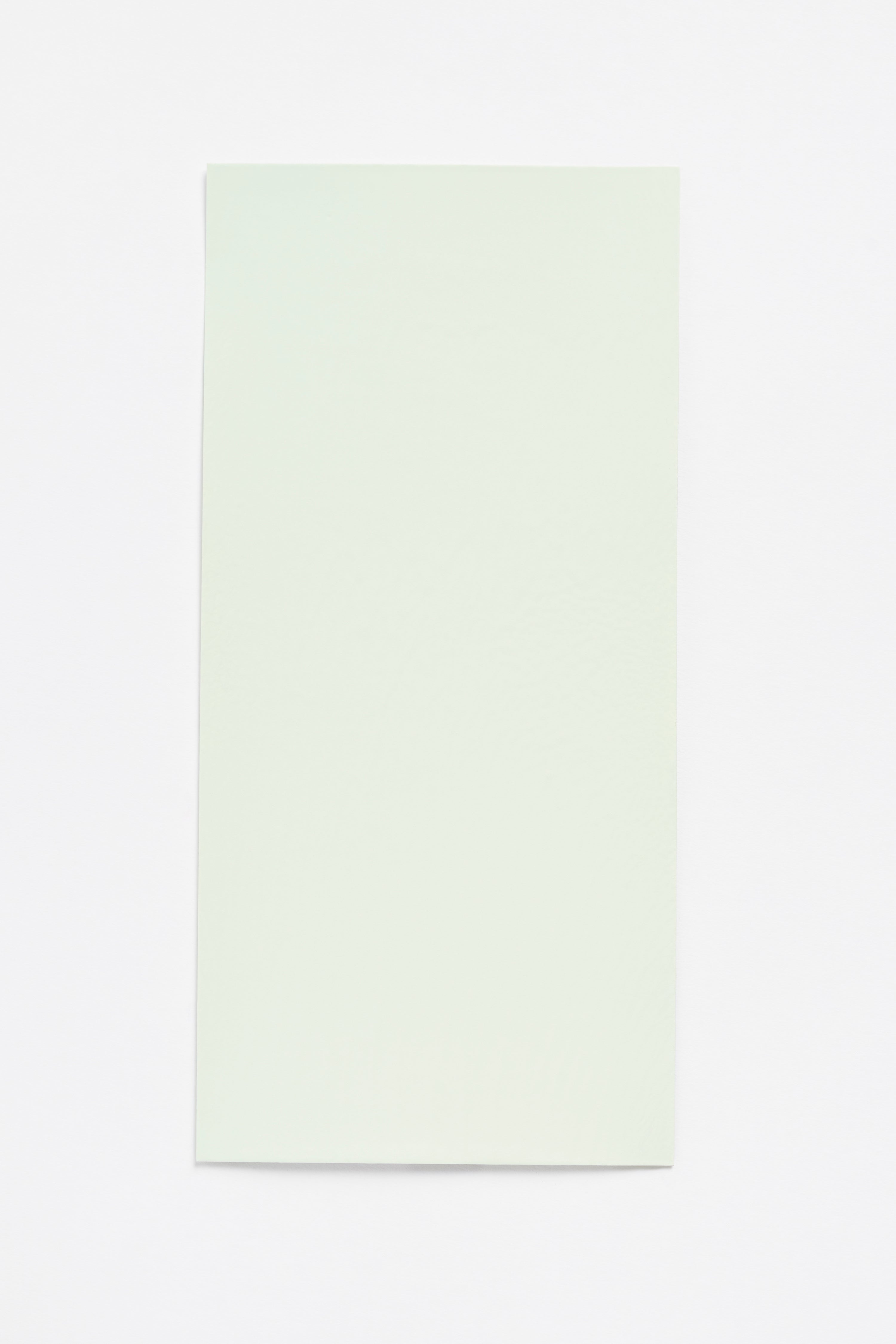 Honey Dew — a paint colour developed by Sabine Marcelis for Blēo