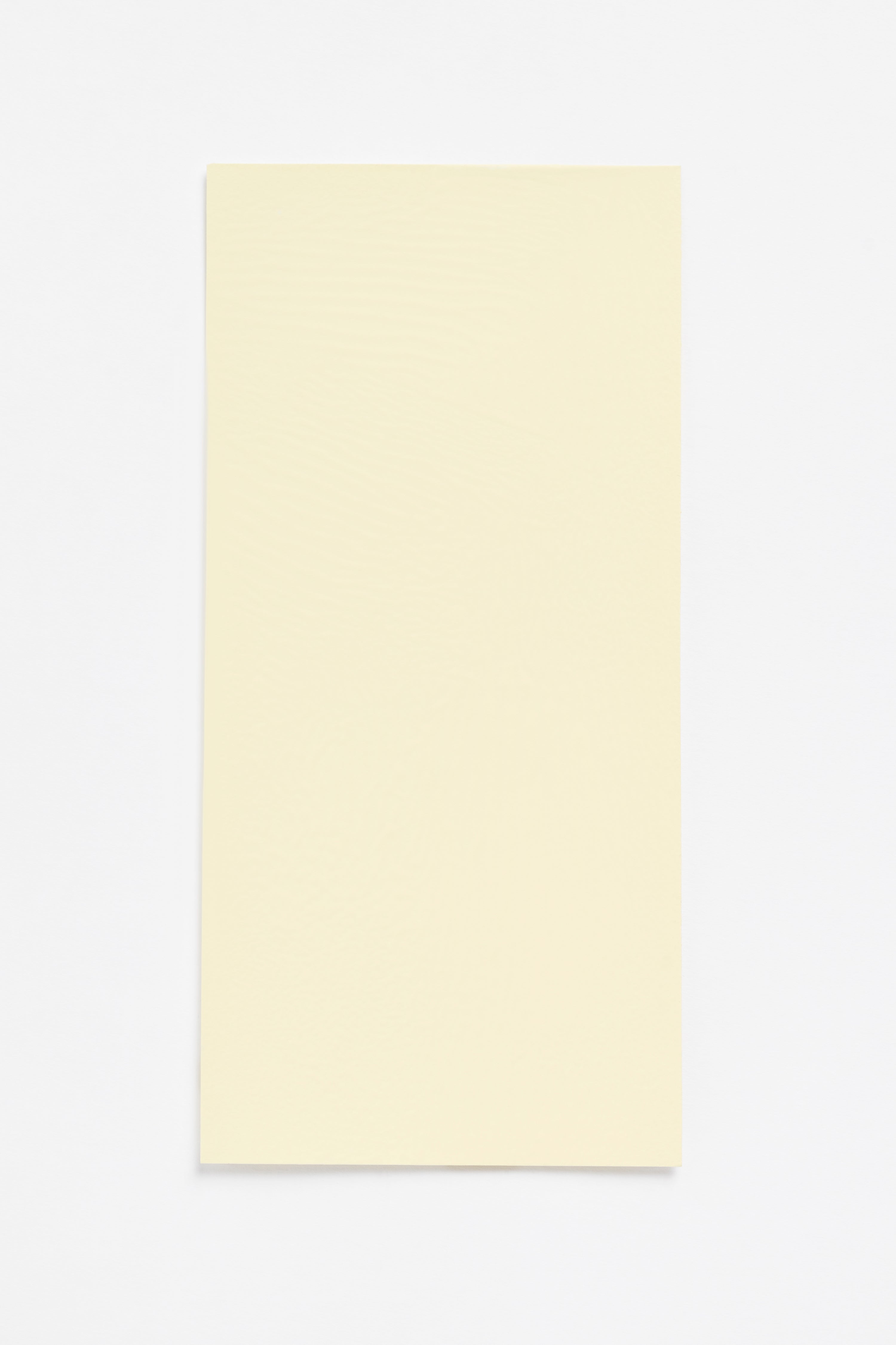 Butter — a paint colour developed by Sabine Marcelis for Blēo