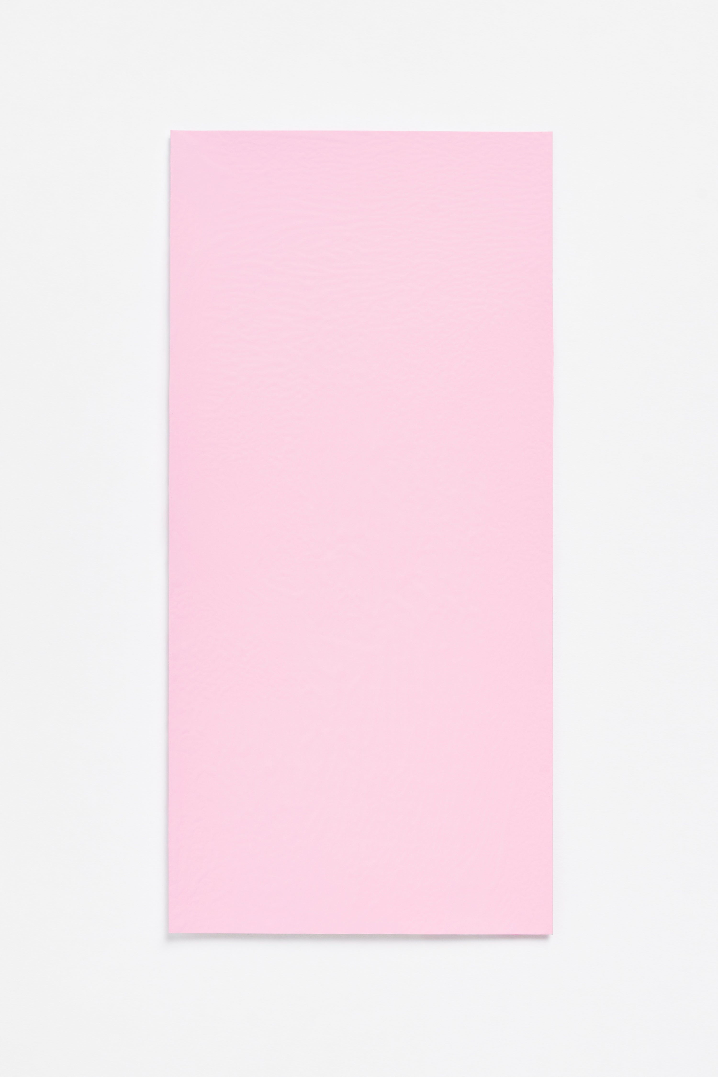 Bubblegum — a paint colour developed by Sabine Marcelis for Blēo