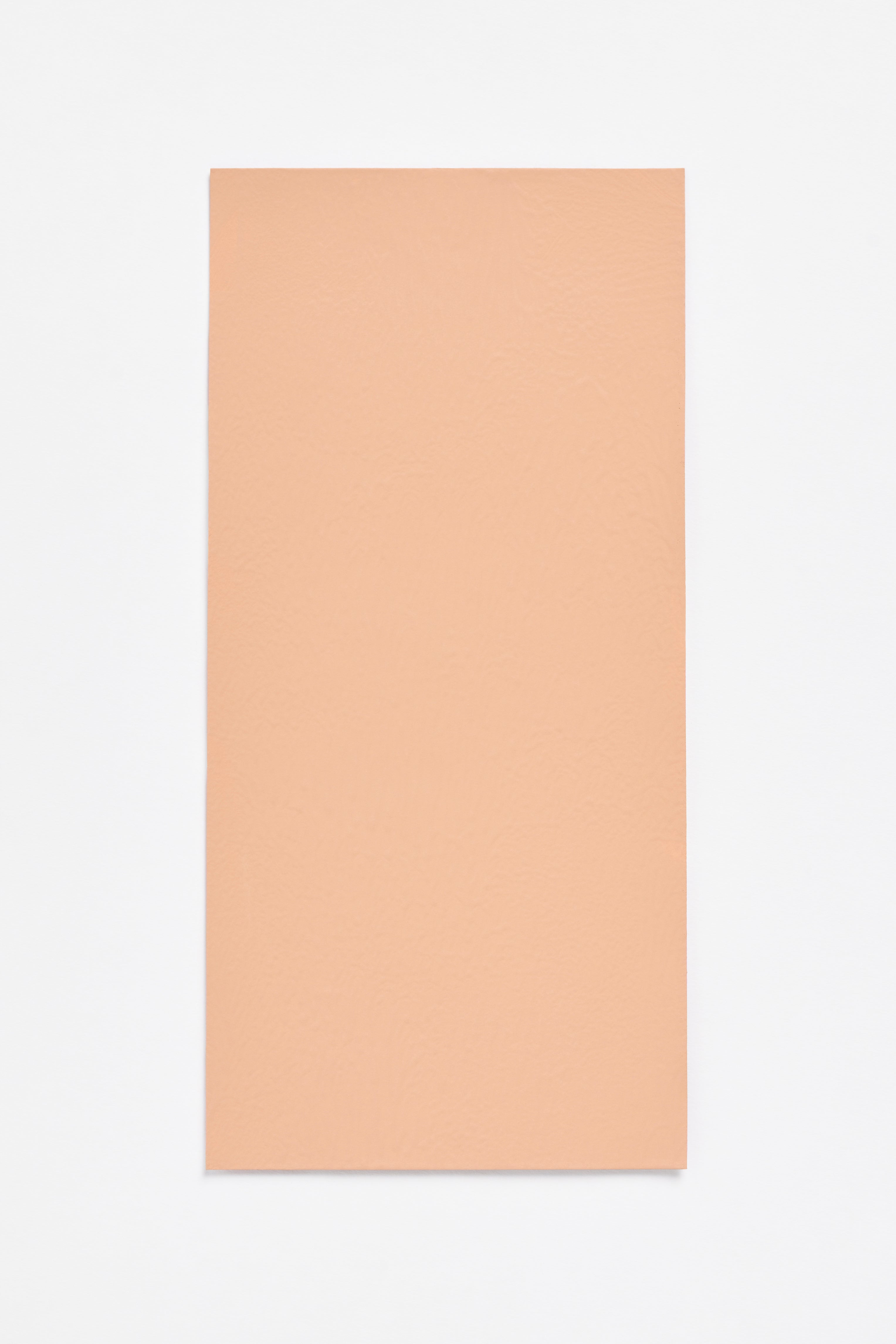 Peach — a paint colour developed by Sabine Marcelis for Blēo