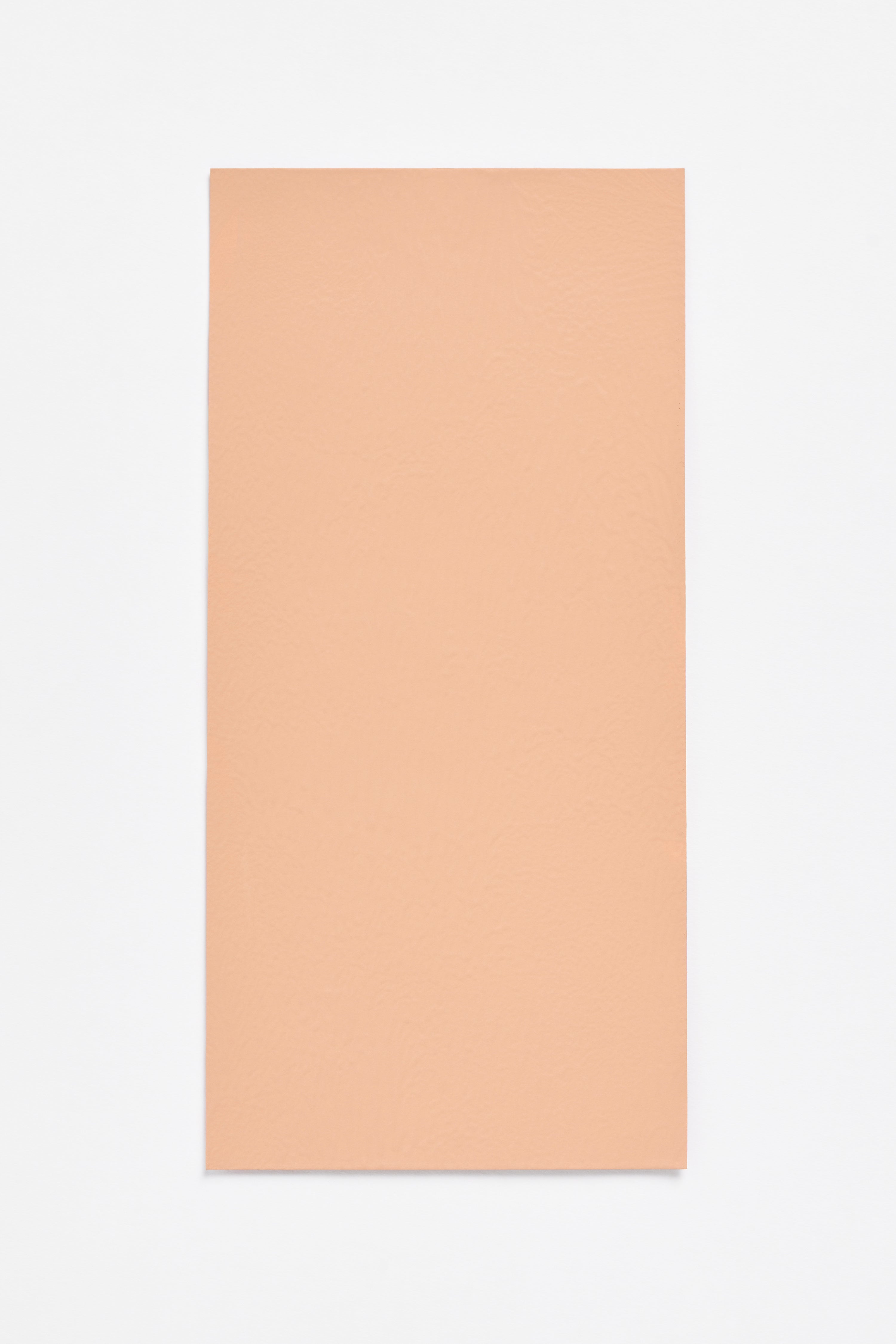 Peach — a paint colour developed by Sabine Marcelis for Blēo