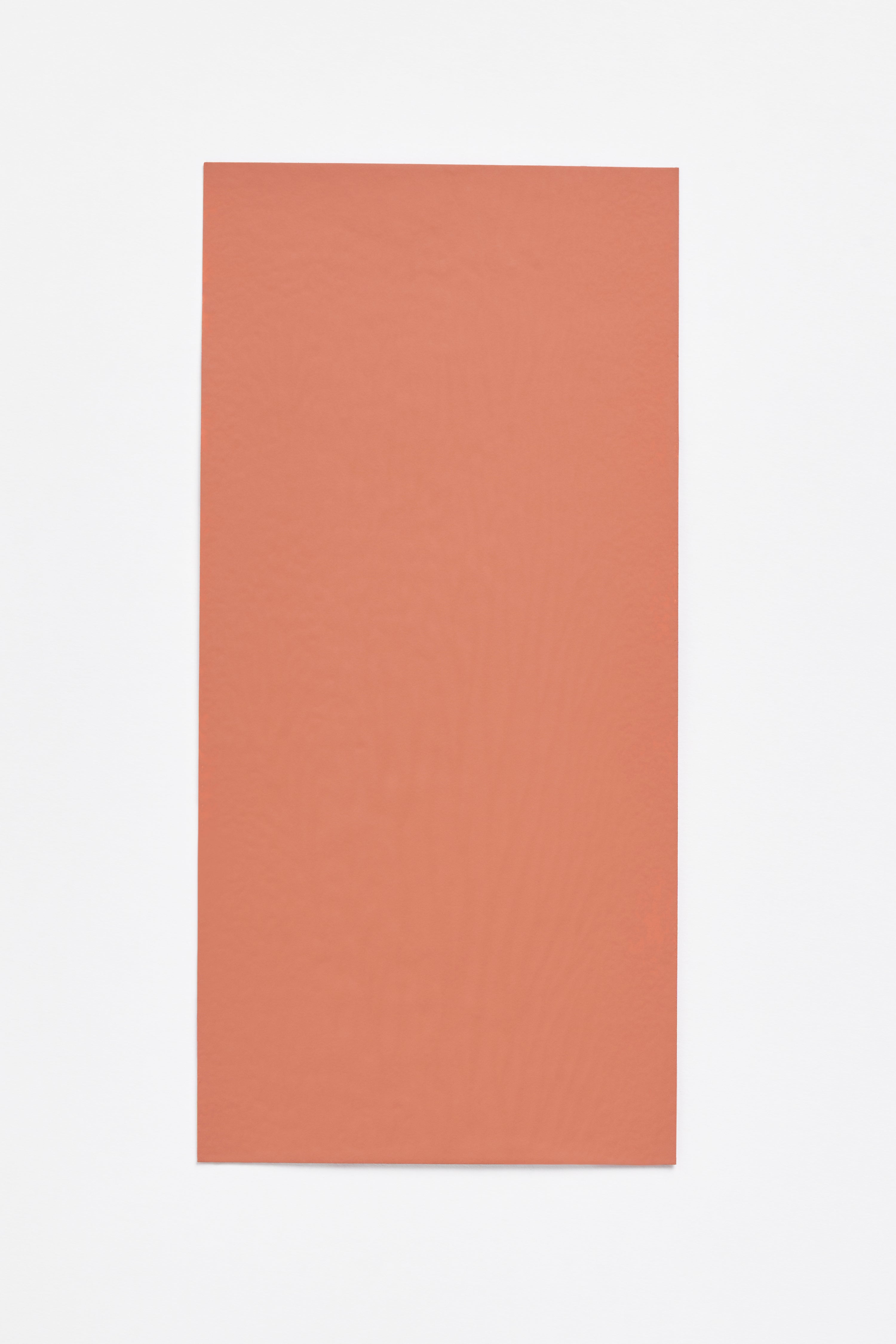 Harissa — a paint colour developed by Sabine Marcelis for Blēo