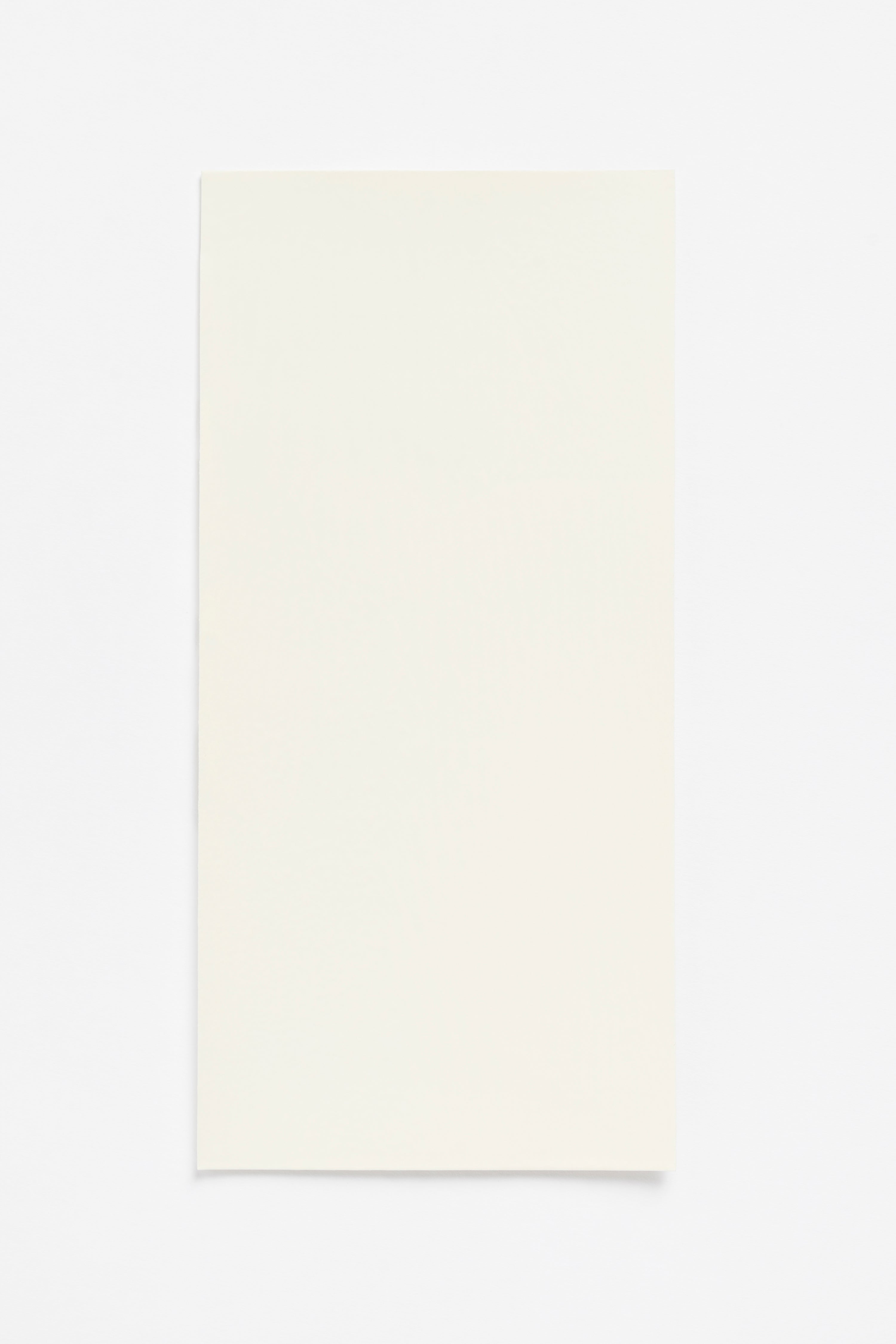 Butter Light — a paint colour developed by Sabine Marcelis for Blēo