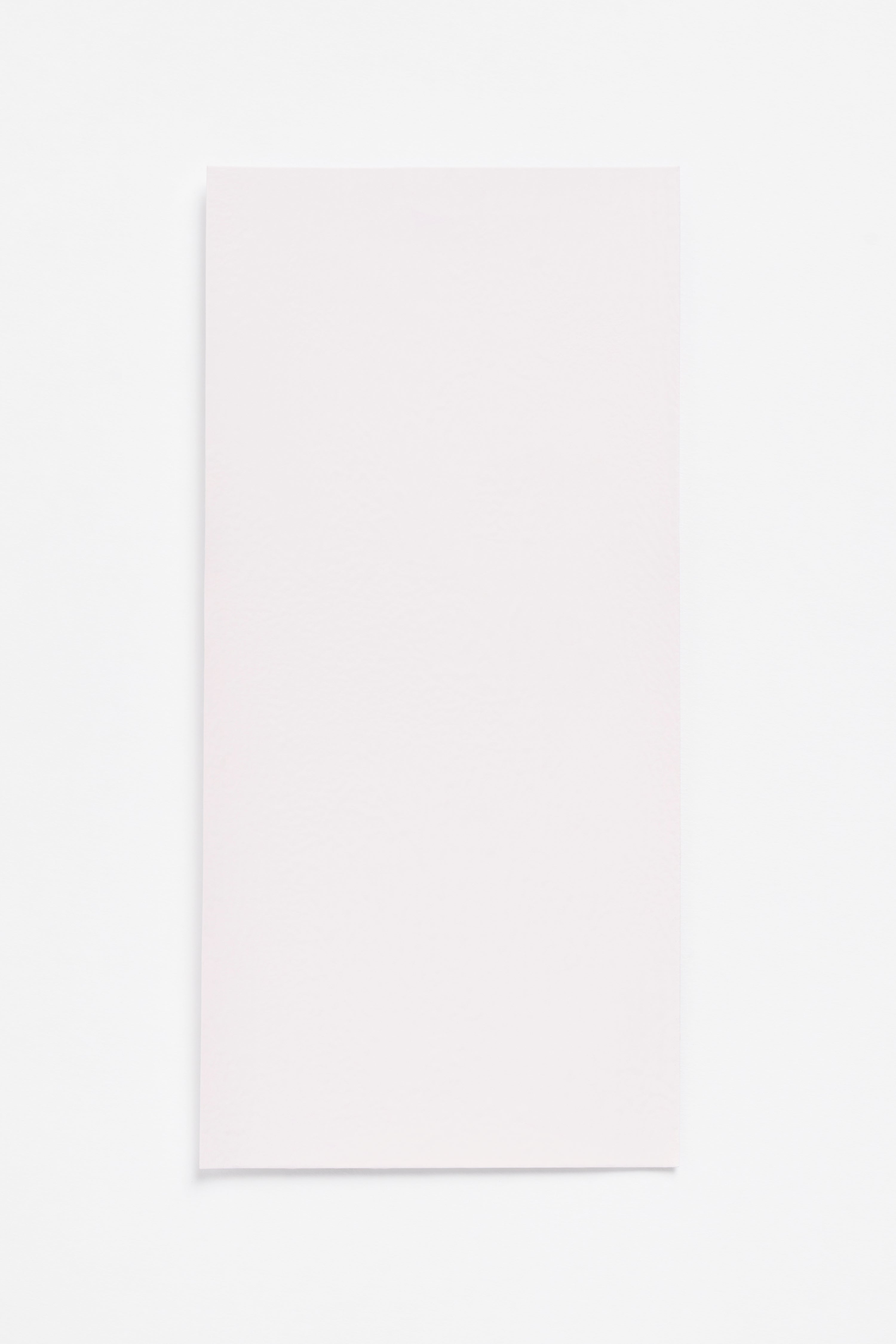 Bubblegum Light — a paint colour developed by Sabine Marcelis for Blēo