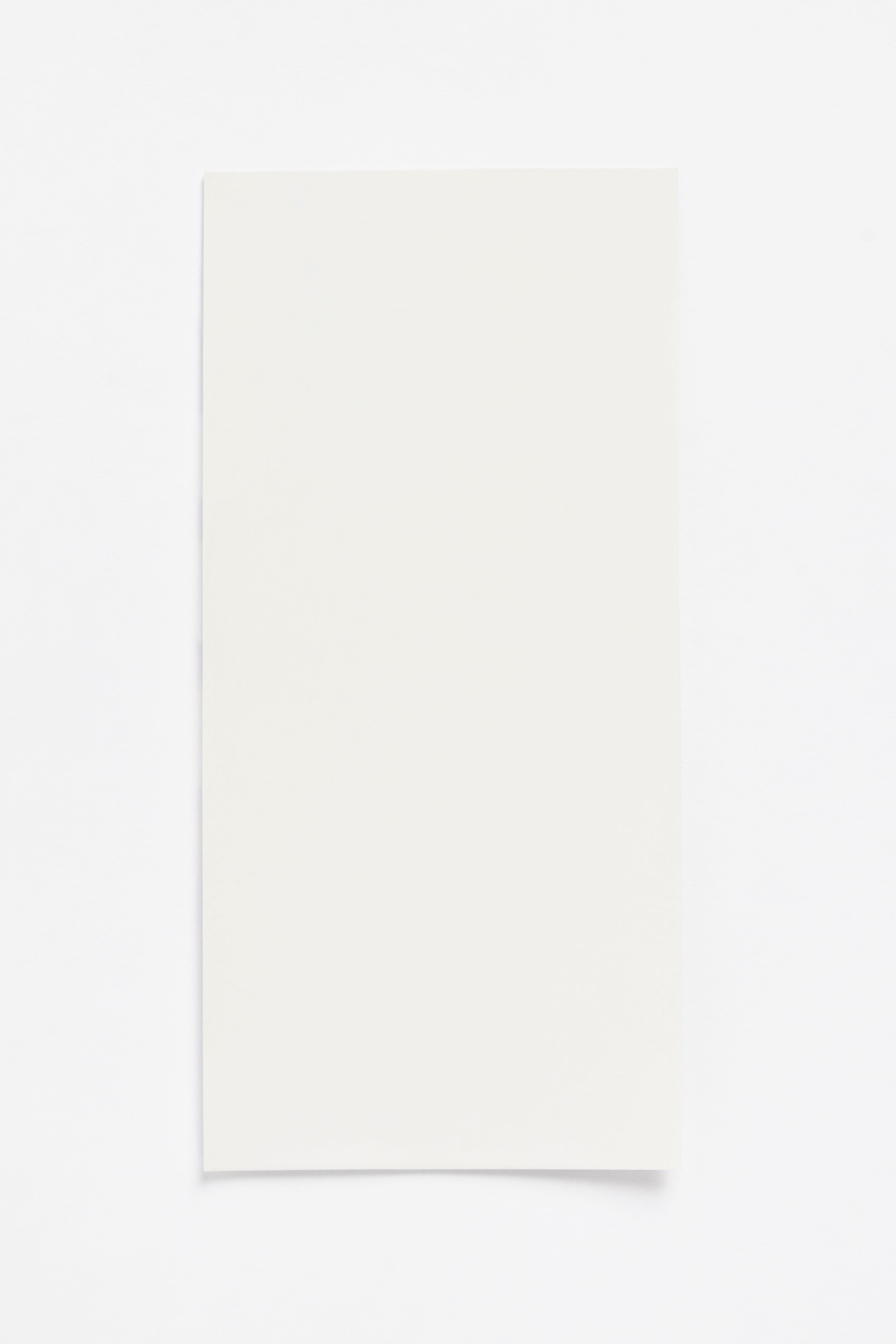 Oat Light — a paint colour developed by Sabine Marcelis for Blēo
