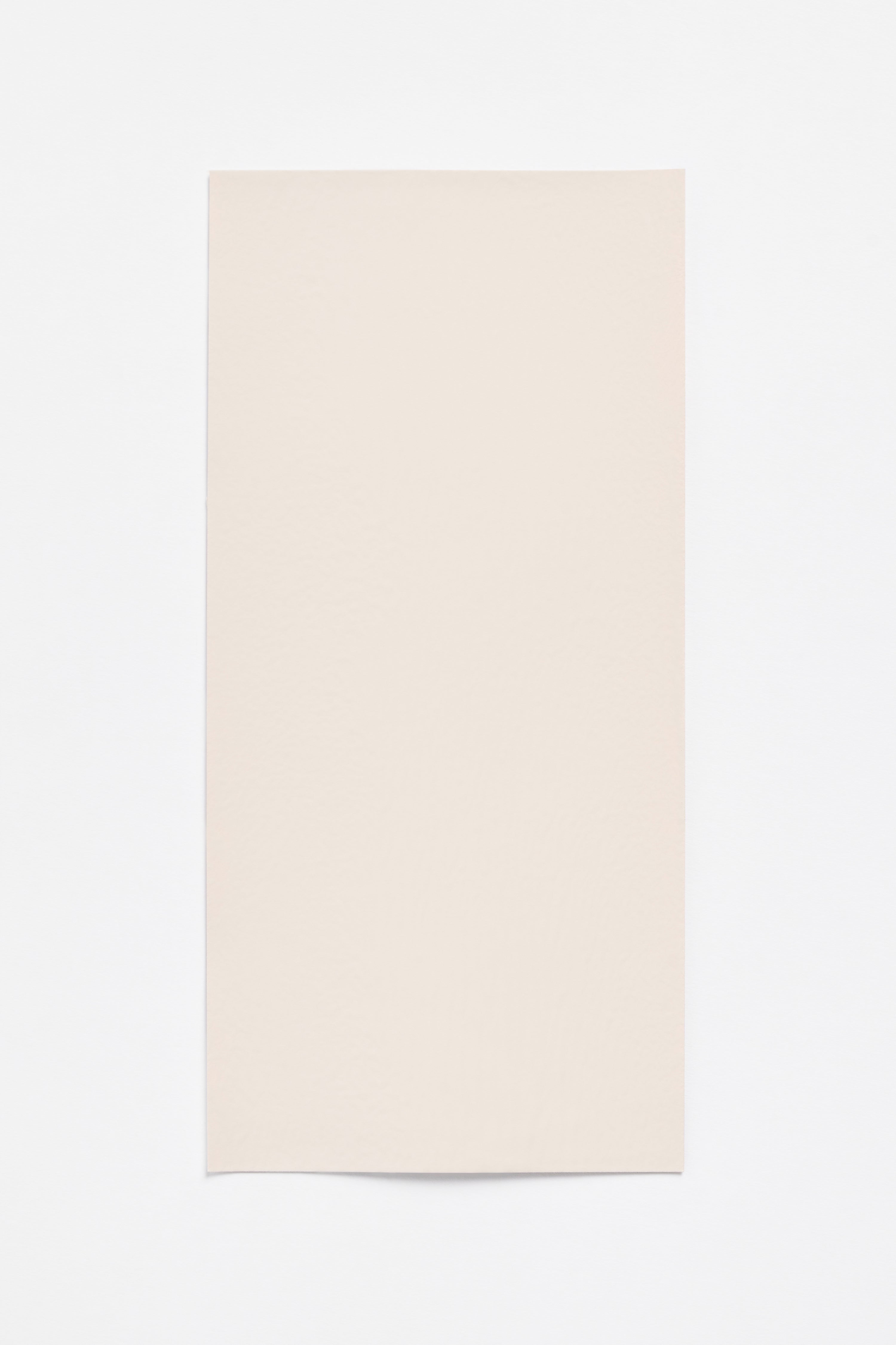 Peach Light — a paint colour developed by Sabine Marcelis for Blēo