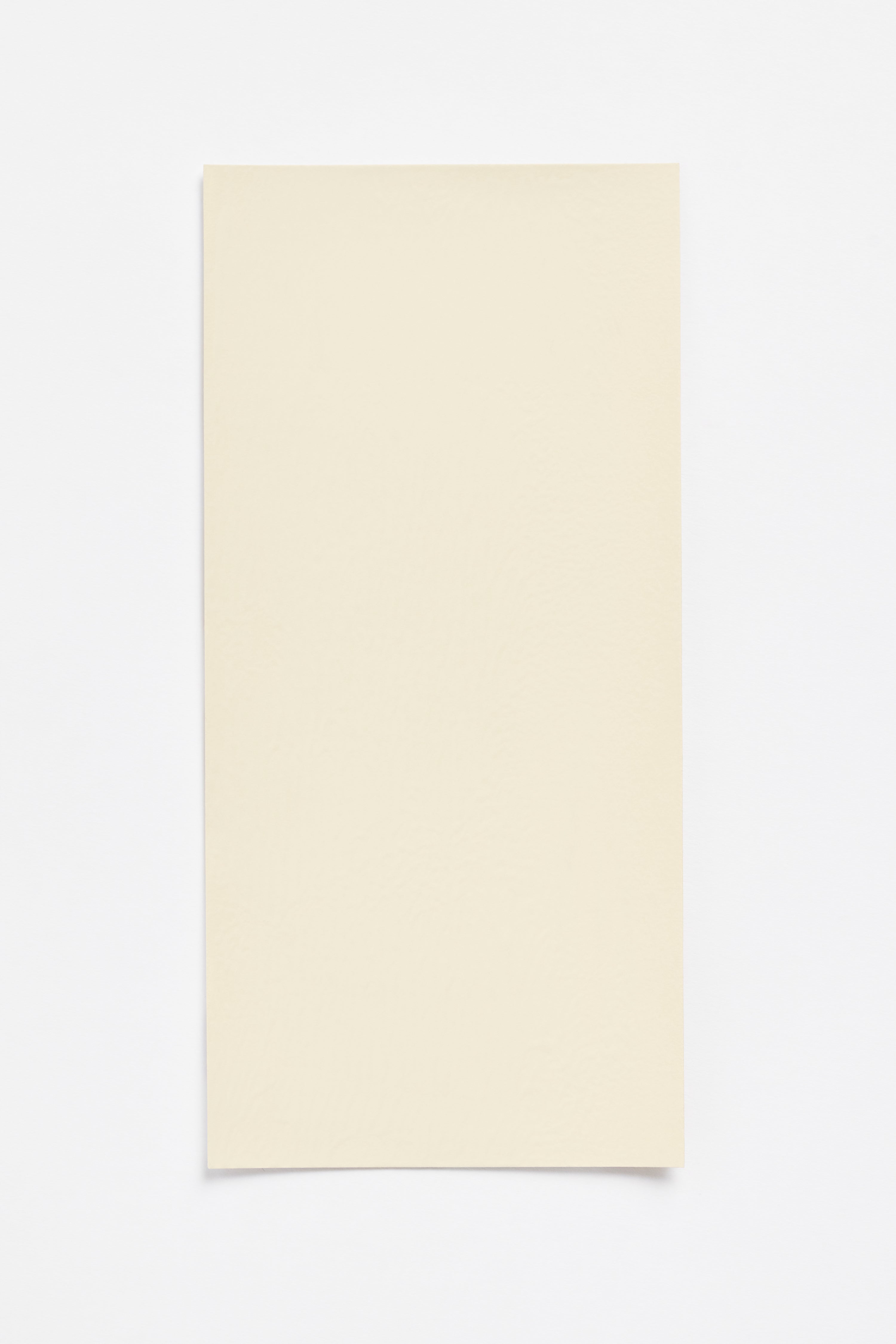 Almond Light — a paint colour developed by Sabine Marcelis for Blēo