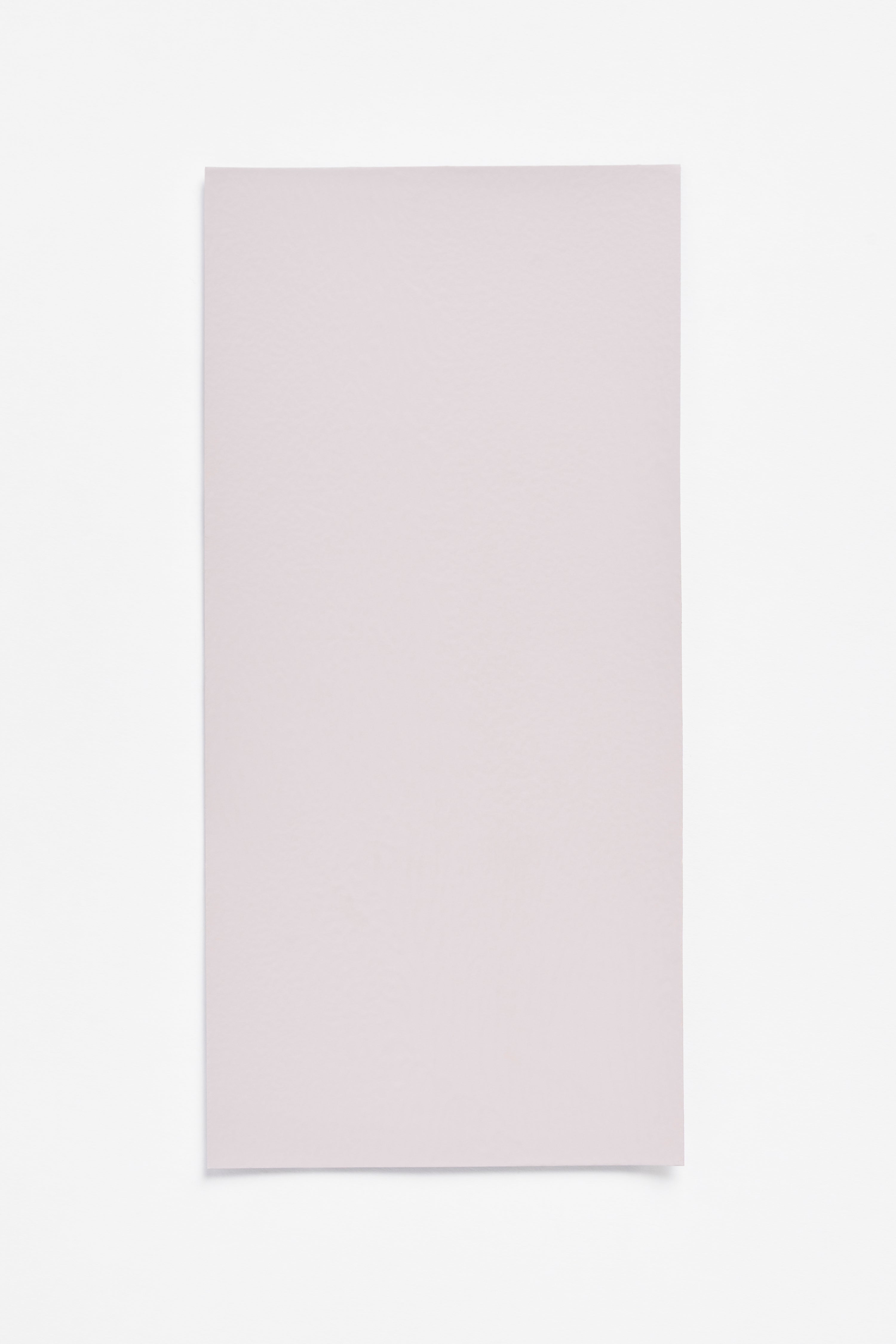 Raisin Light — a paint colour developed by Sabine Marcelis for Blēo
