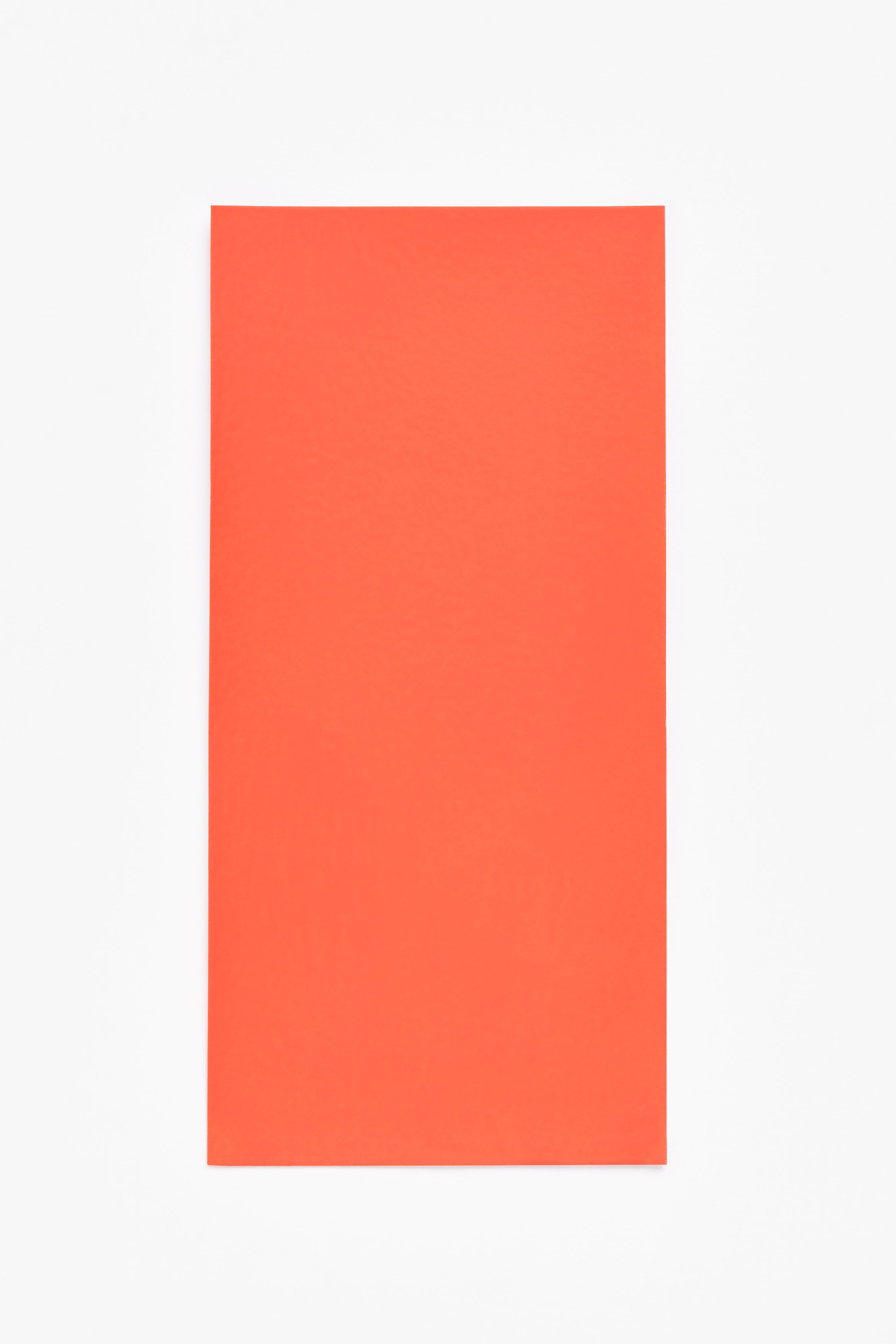 Nico — a paint colour developed by Studio Stefan Scholten for Blēo