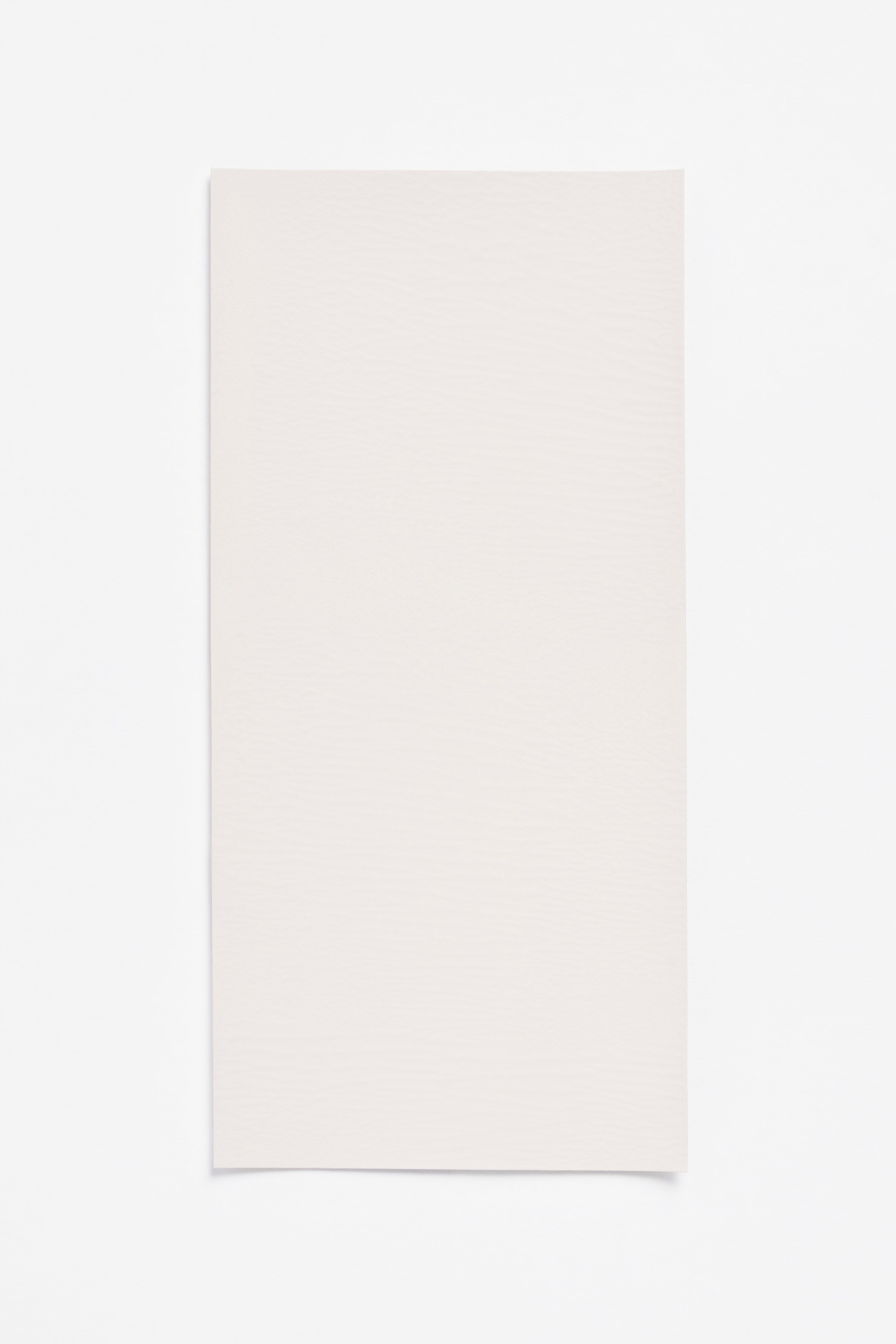 Pale — a paint colour developed by Yvonne Koné for Blēo